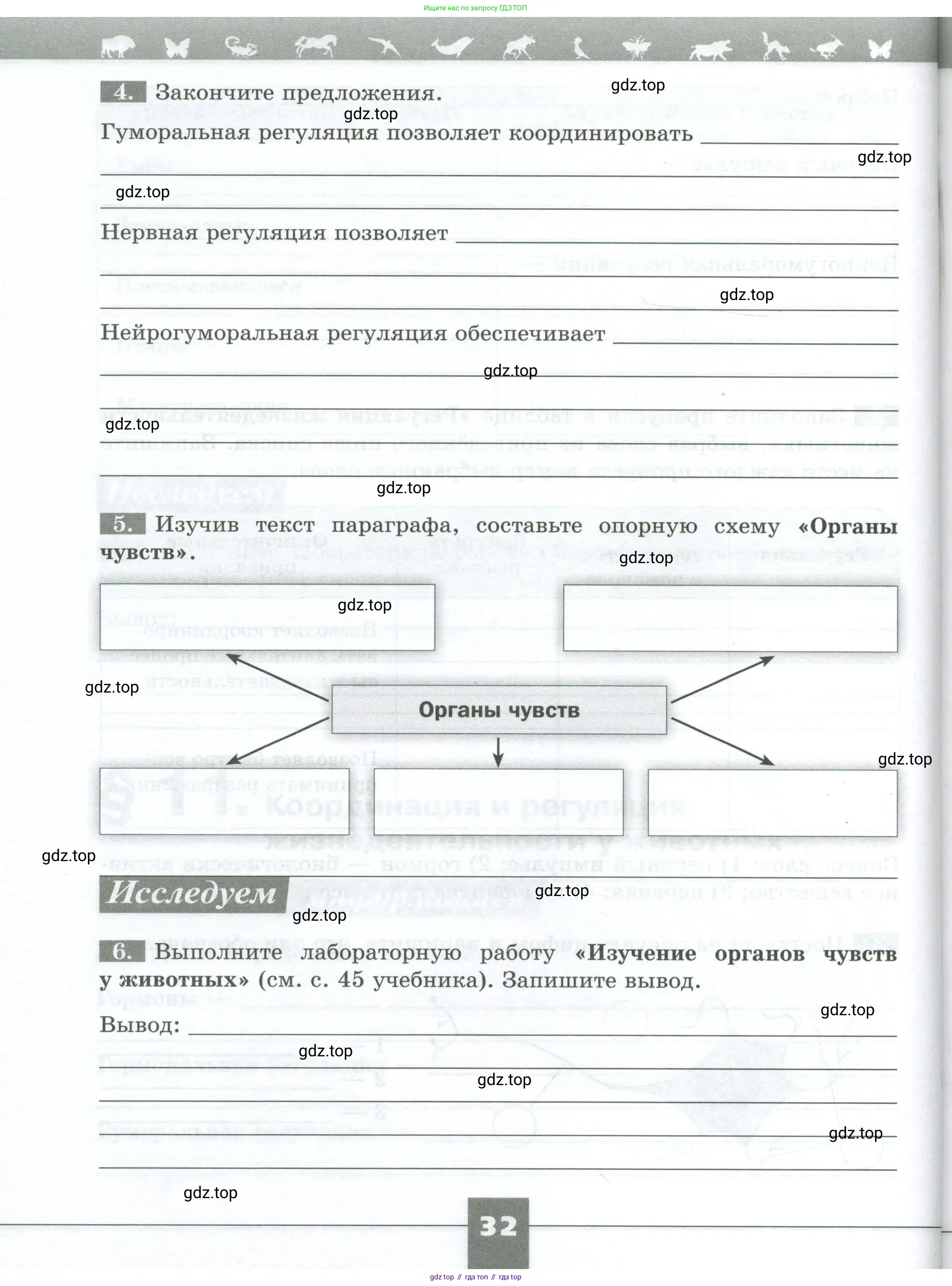 Биология, 8 класс рабочая тетрадь, авторы: Суматохин Сергей Витальевич, Пасечник Владимир Васильевич, Гапонюк Зоя Георгиевна, издательство Просвещение, Москва, 2023, оранжевого цвета, страница 32