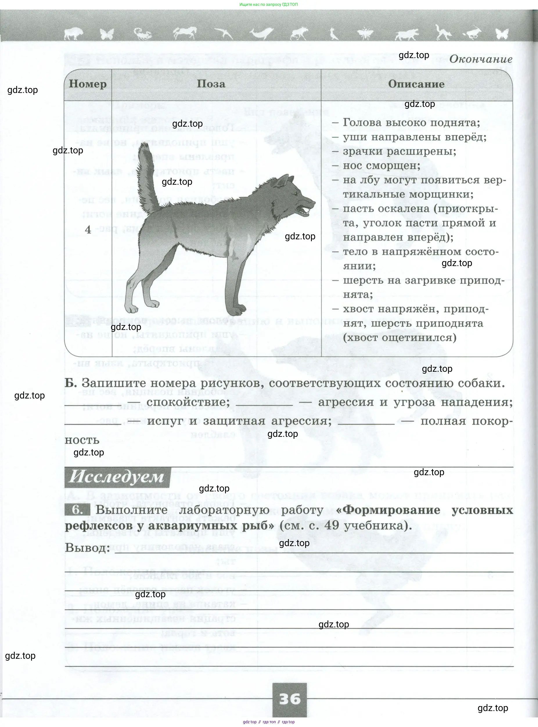 Биология, 8 класс рабочая тетрадь, авторы: Суматохин Сергей Витальевич, Пасечник Владимир Васильевич, Гапонюк Зоя Георгиевна, издательство Просвещение, Москва, 2023, оранжевого цвета, страница 36