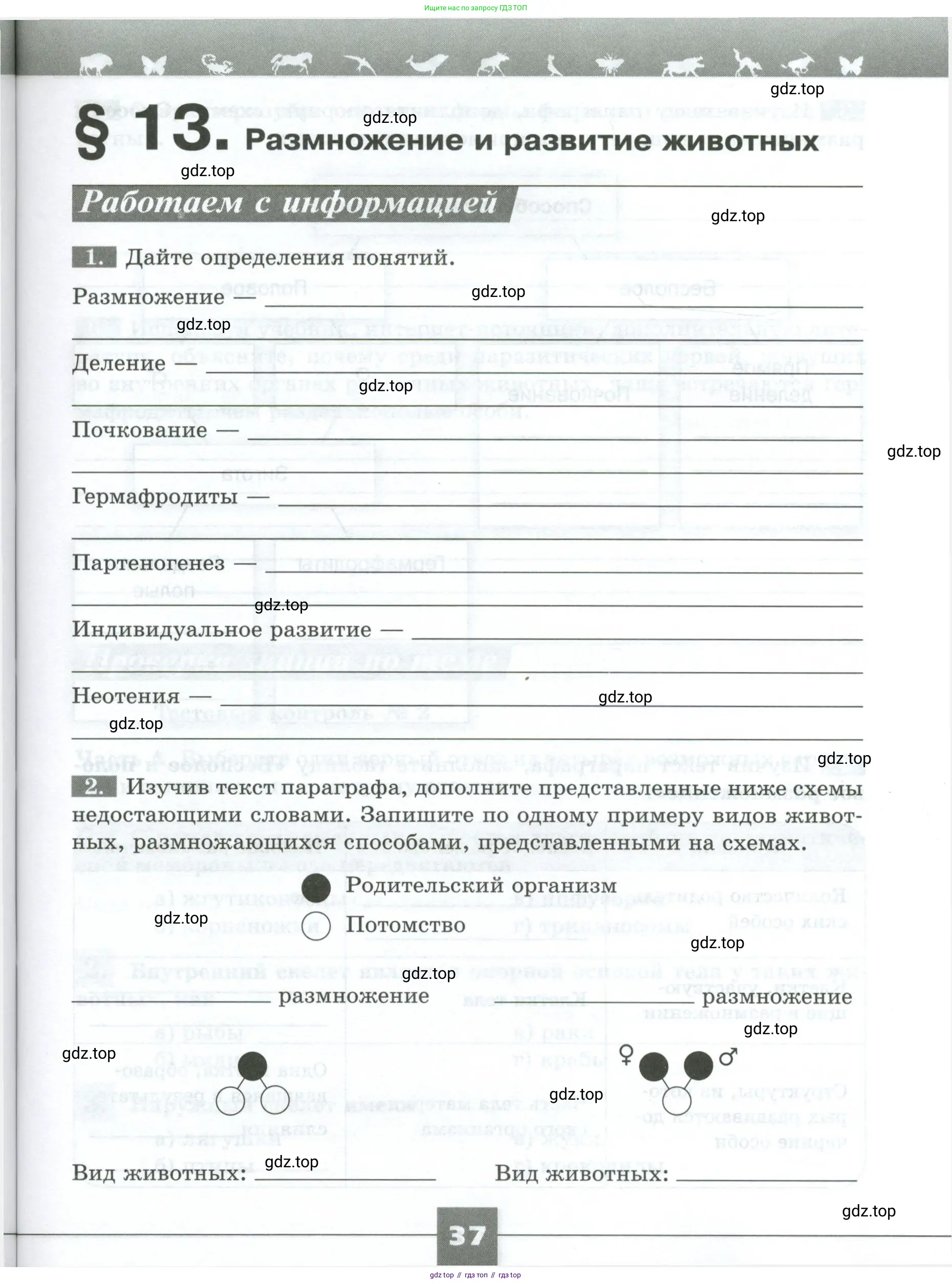 Биология, 8 класс рабочая тетрадь, авторы: Суматохин Сергей Витальевич, Пасечник Владимир Васильевич, Гапонюк Зоя Георгиевна, издательство Просвещение, Москва, 2023, оранжевого цвета, страница 37