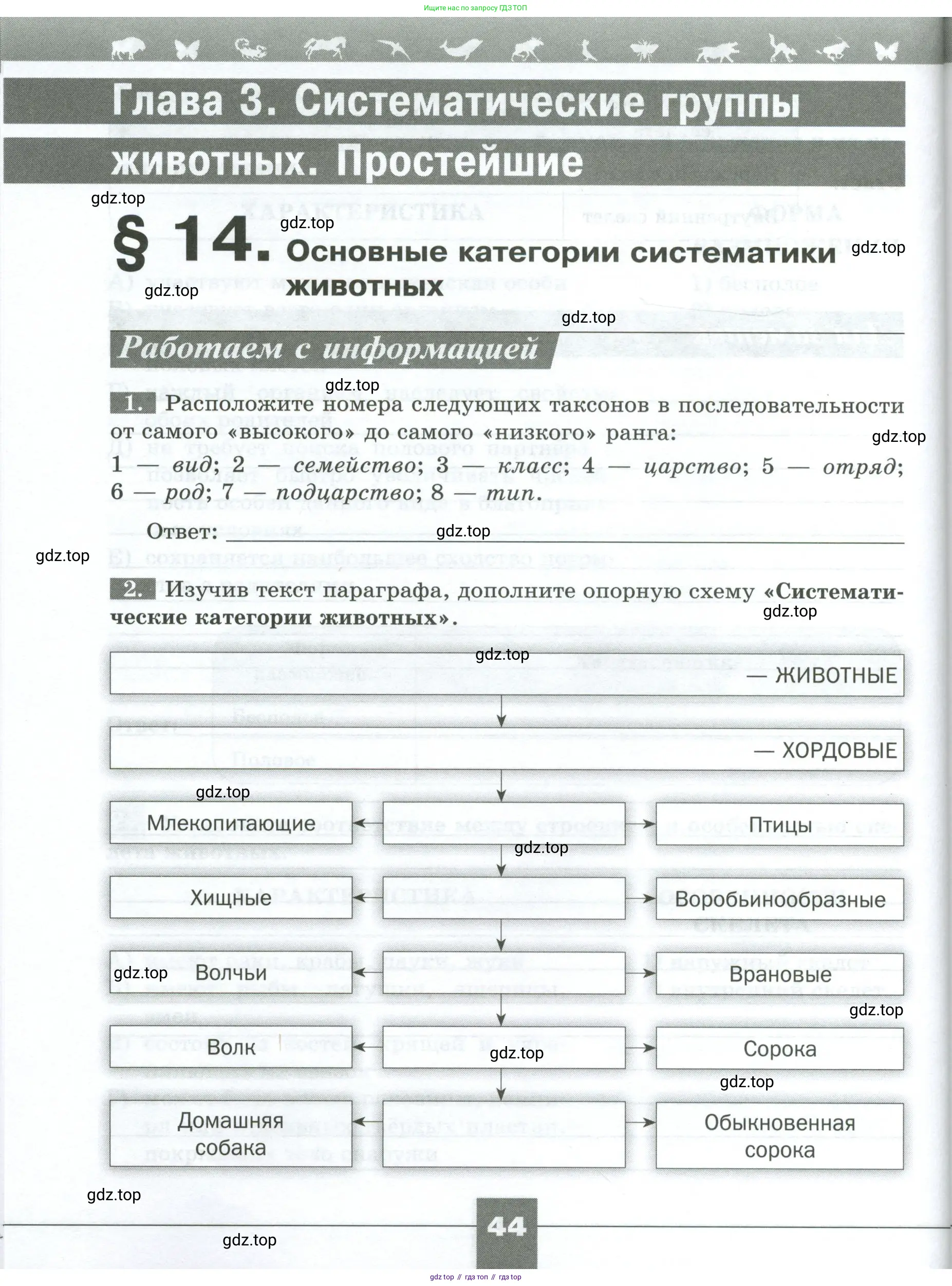 Биология, 8 класс рабочая тетрадь, авторы: Суматохин Сергей Витальевич, Пасечник Владимир Васильевич, Гапонюк Зоя Георгиевна, издательство Просвещение, Москва, 2023, оранжевого цвета, страница 44