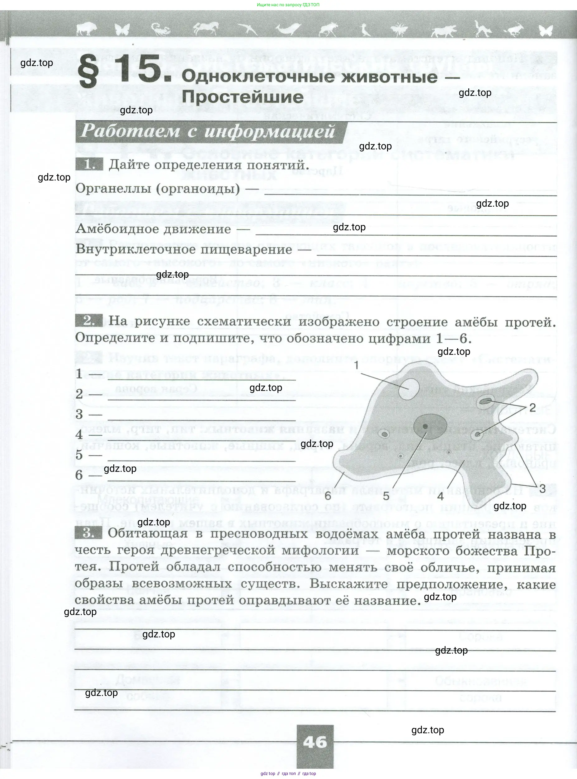 Биология, 8 класс рабочая тетрадь, авторы: Суматохин Сергей Витальевич, Пасечник Владимир Васильевич, Гапонюк Зоя Георгиевна, издательство Просвещение, Москва, 2023, оранжевого цвета, страница 46