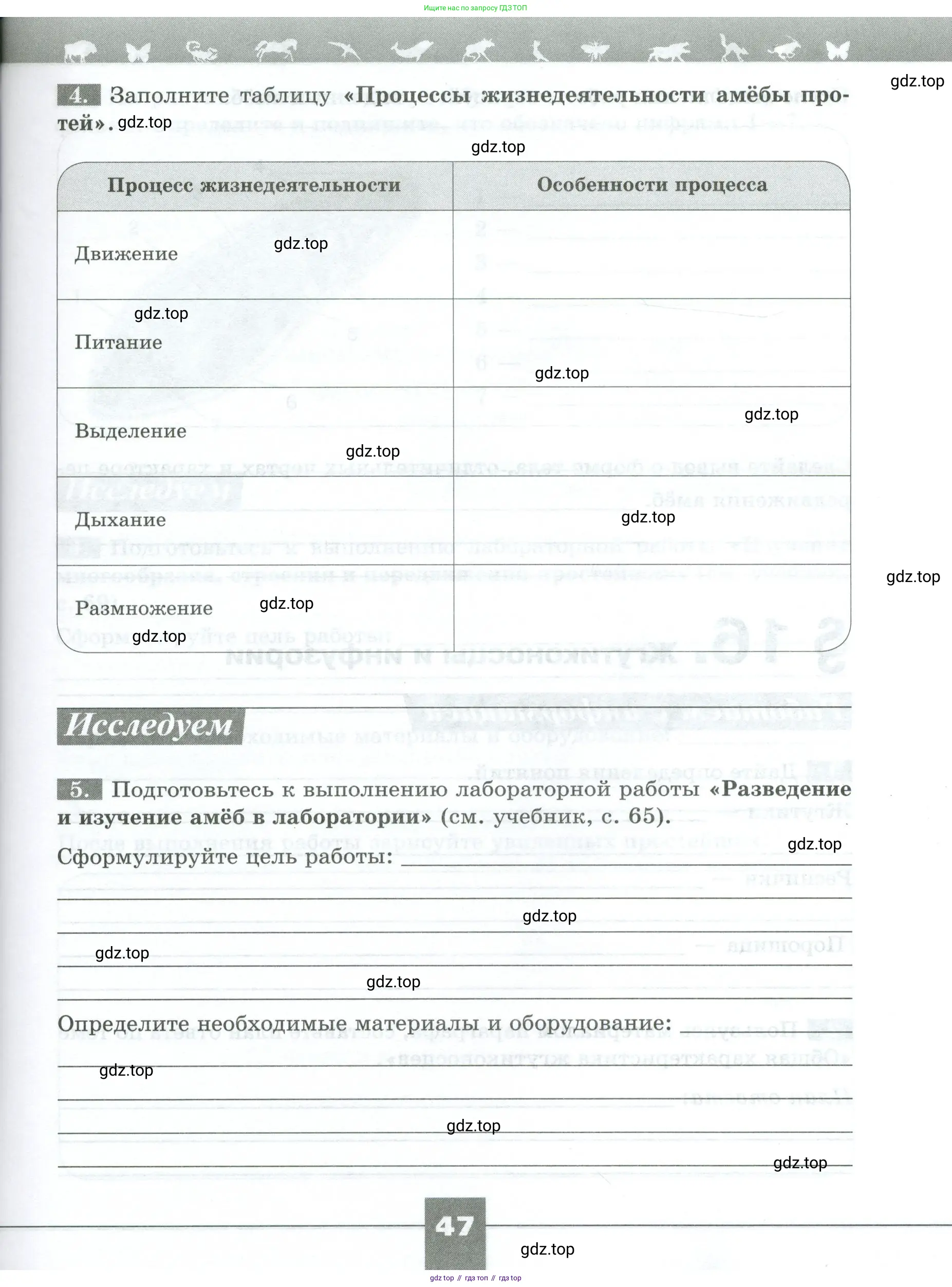 Биология, 8 класс рабочая тетрадь, авторы: Суматохин Сергей Витальевич, Пасечник Владимир Васильевич, Гапонюк Зоя Георгиевна, издательство Просвещение, Москва, 2023, оранжевого цвета, страница 47