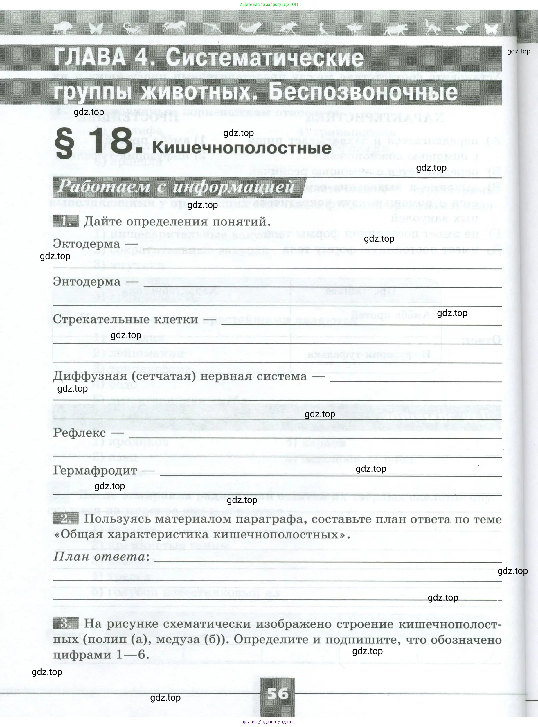 Биология, 8 класс рабочая тетрадь, авторы: Суматохин Сергей Витальевич, Пасечник Владимир Васильевич, Гапонюк Зоя Георгиевна, издательство Просвещение, Москва, 2023, оранжевого цвета, страница 56