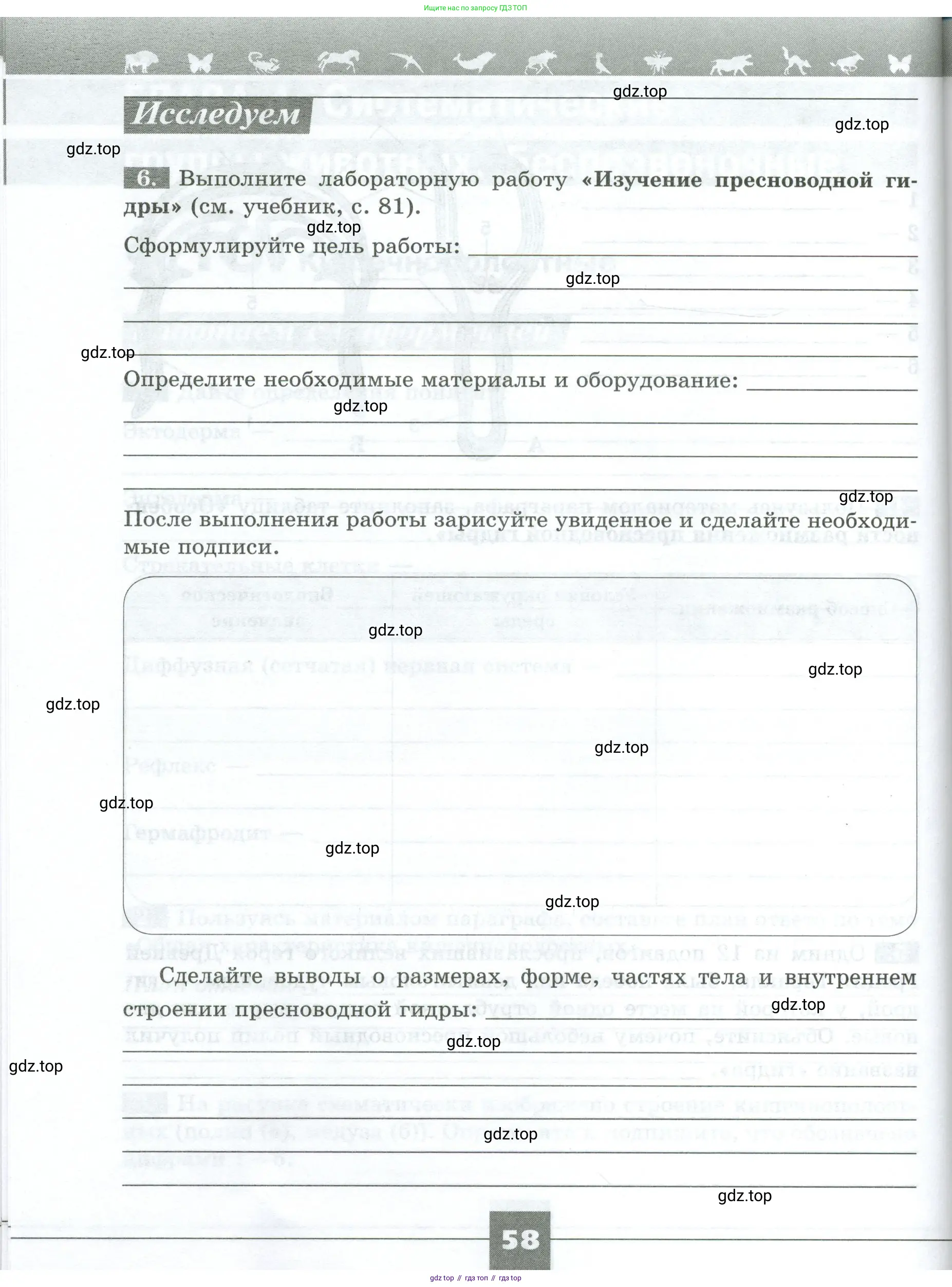 Биология, 8 класс рабочая тетрадь, авторы: Суматохин Сергей Витальевич, Пасечник Владимир Васильевич, Гапонюк Зоя Георгиевна, издательство Просвещение, Москва, 2023, оранжевого цвета, страница 58
