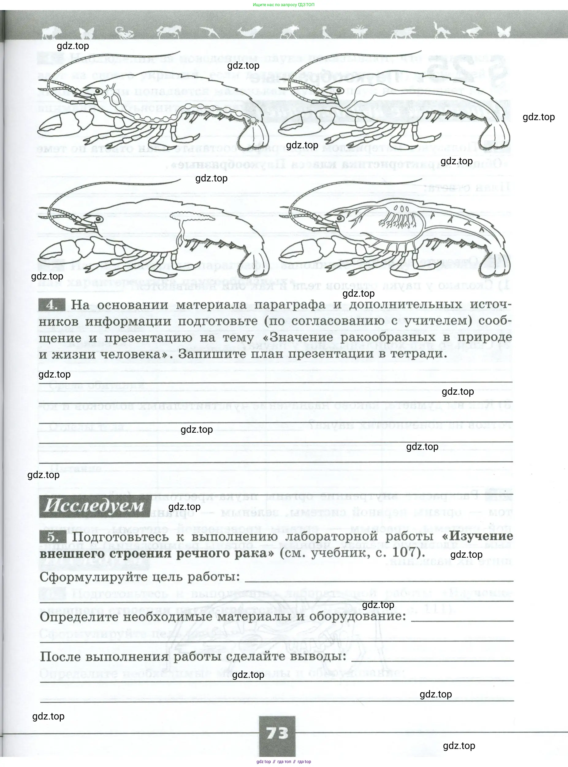 Биология, 8 класс рабочая тетрадь, авторы: Суматохин Сергей Витальевич, Пасечник Владимир Васильевич, Гапонюк Зоя Георгиевна, издательство Просвещение, Москва, 2023, оранжевого цвета, страница 73
