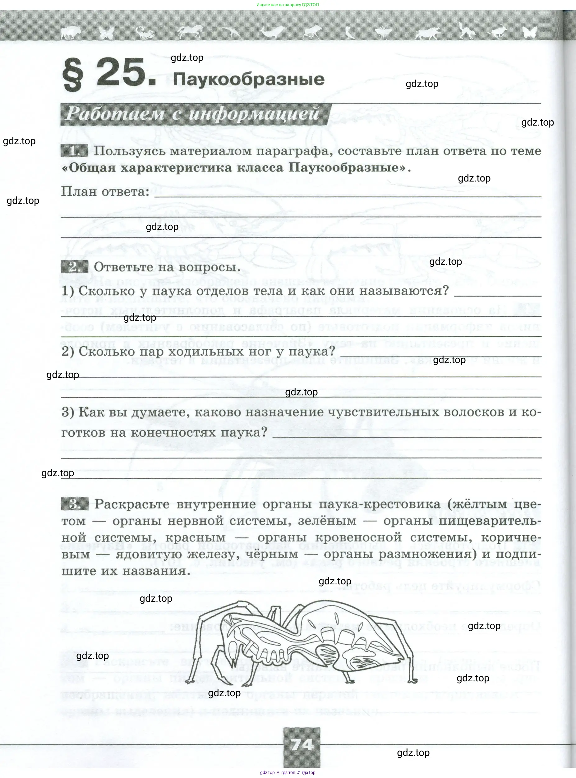 Биология, 8 класс рабочая тетрадь, авторы: Суматохин Сергей Витальевич, Пасечник Владимир Васильевич, Гапонюк Зоя Георгиевна, издательство Просвещение, Москва, 2023, оранжевого цвета, страница 74