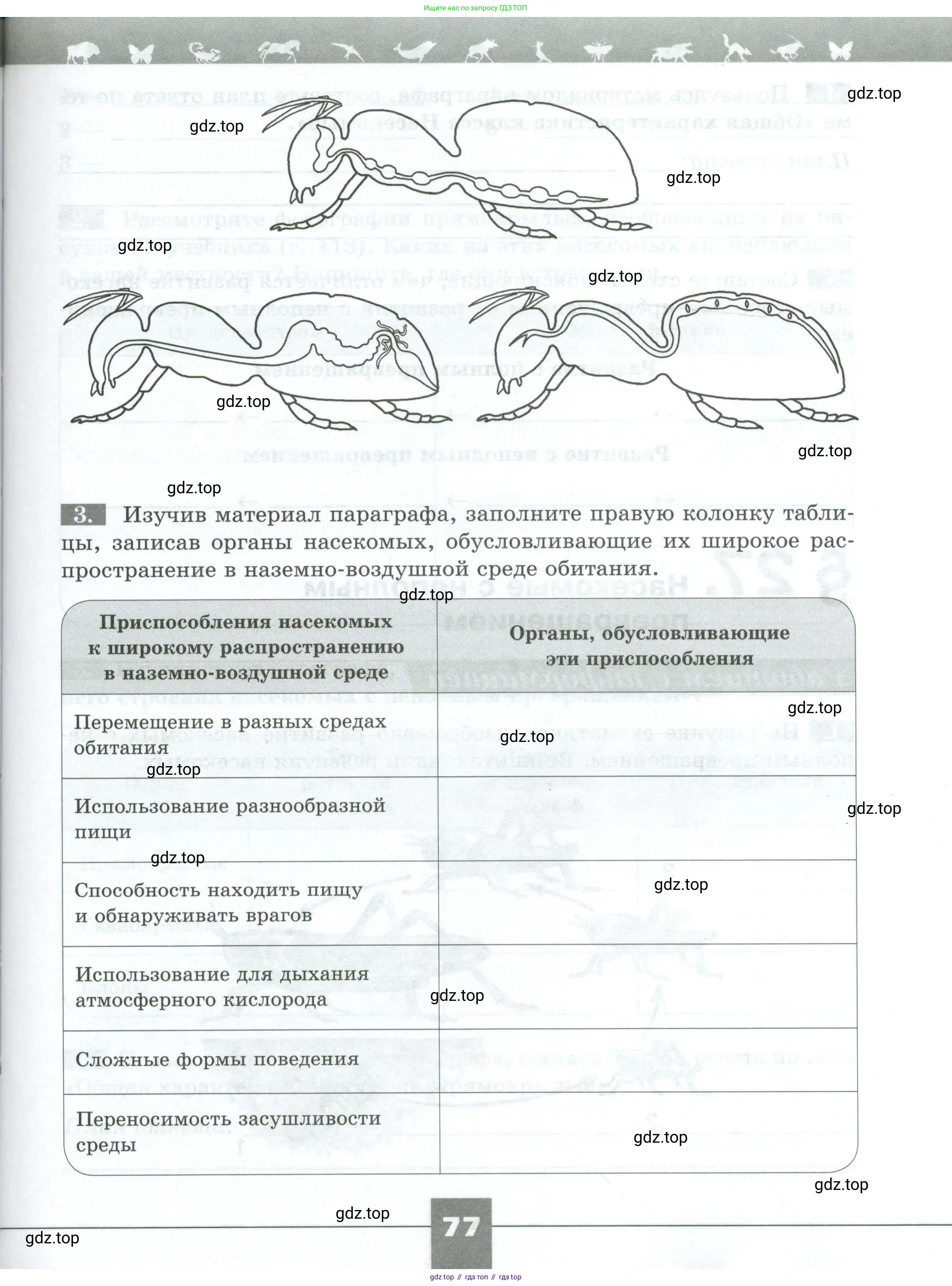 Биология, 8 класс рабочая тетрадь, авторы: Суматохин Сергей Витальевич, Пасечник Владимир Васильевич, Гапонюк Зоя Георгиевна, издательство Просвещение, Москва, 2023, оранжевого цвета, страница 77
