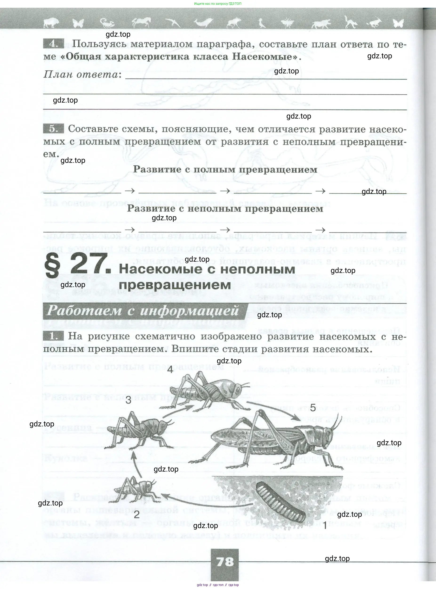 Биология, 8 класс рабочая тетрадь, авторы: Суматохин Сергей Витальевич, Пасечник Владимир Васильевич, Гапонюк Зоя Георгиевна, издательство Просвещение, Москва, 2023, оранжевого цвета, страница 78