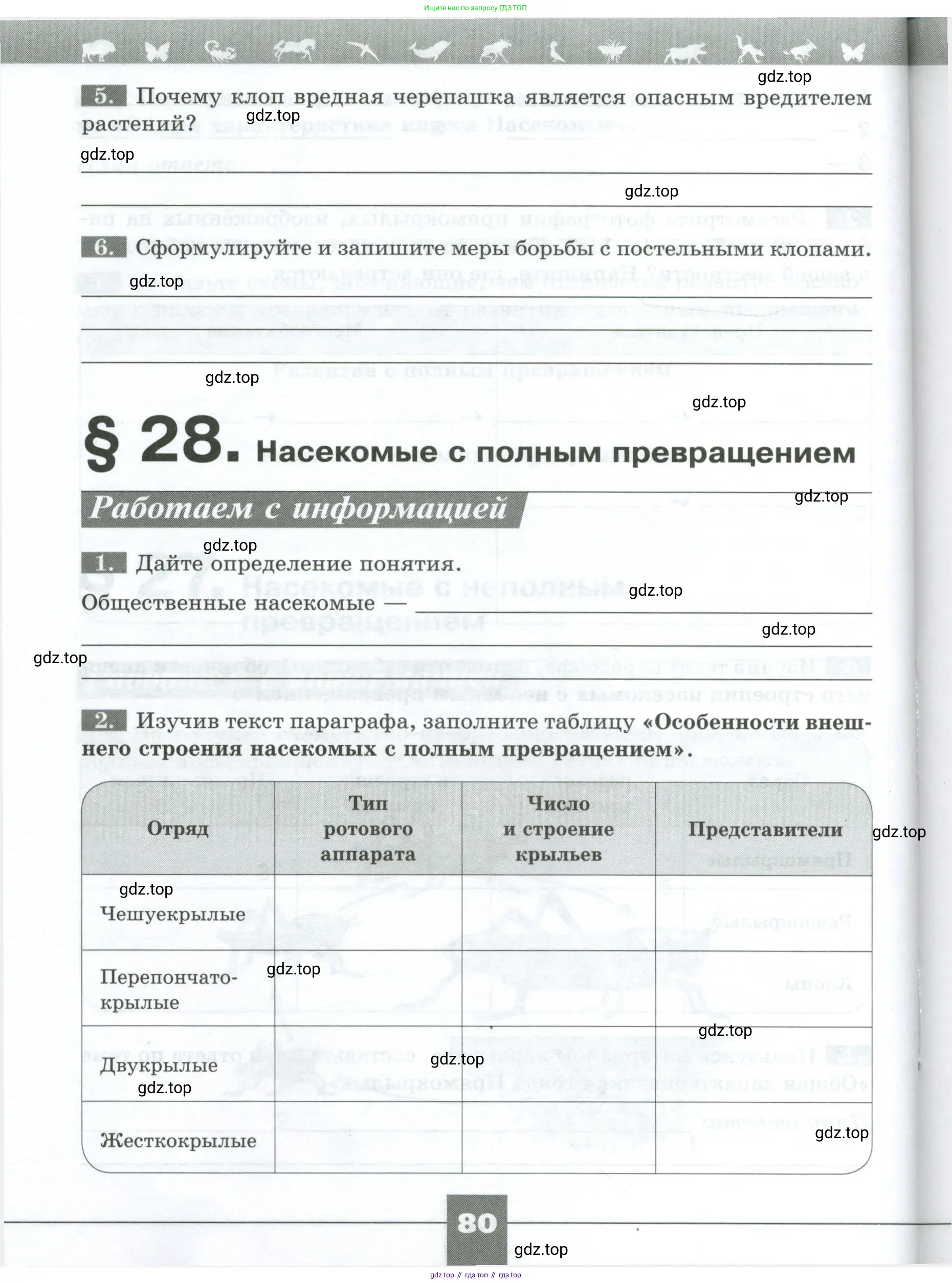Биология, 8 класс рабочая тетрадь, авторы: Суматохин Сергей Витальевич, Пасечник Владимир Васильевич, Гапонюк Зоя Георгиевна, издательство Просвещение, Москва, 2023, оранжевого цвета, страница 80