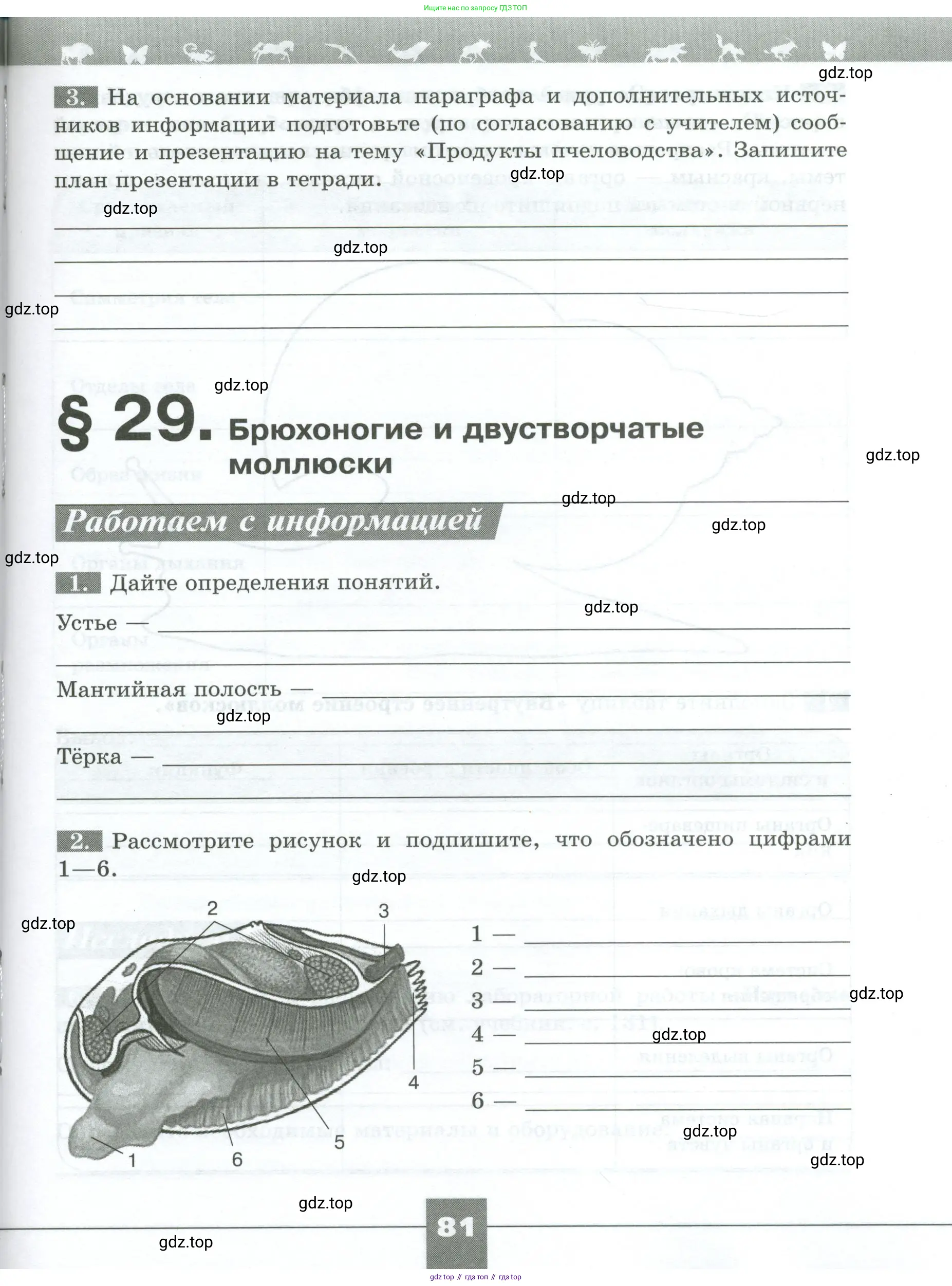 Биология, 8 класс рабочая тетрадь, авторы: Суматохин Сергей Витальевич, Пасечник Владимир Васильевич, Гапонюк Зоя Георгиевна, издательство Просвещение, Москва, 2023, оранжевого цвета, страница 81