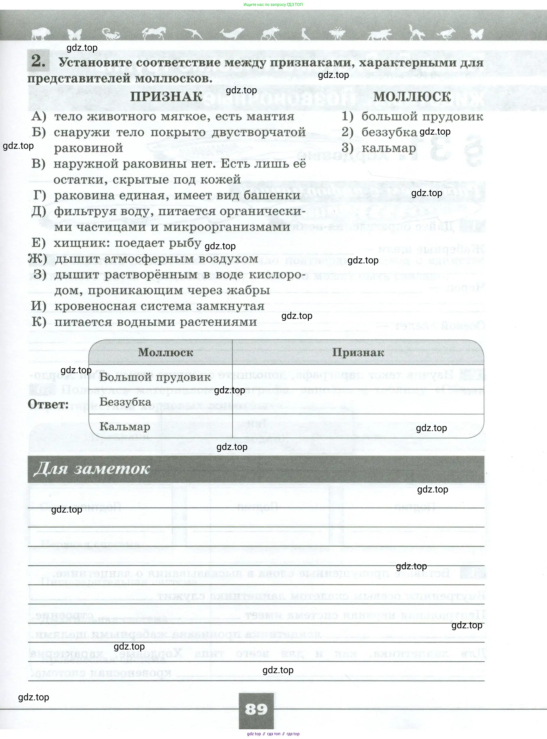Биология, 8 класс рабочая тетрадь, авторы: Суматохин Сергей Витальевич, Пасечник Владимир Васильевич, Гапонюк Зоя Георгиевна, издательство Просвещение, Москва, 2023, оранжевого цвета, страница 89
