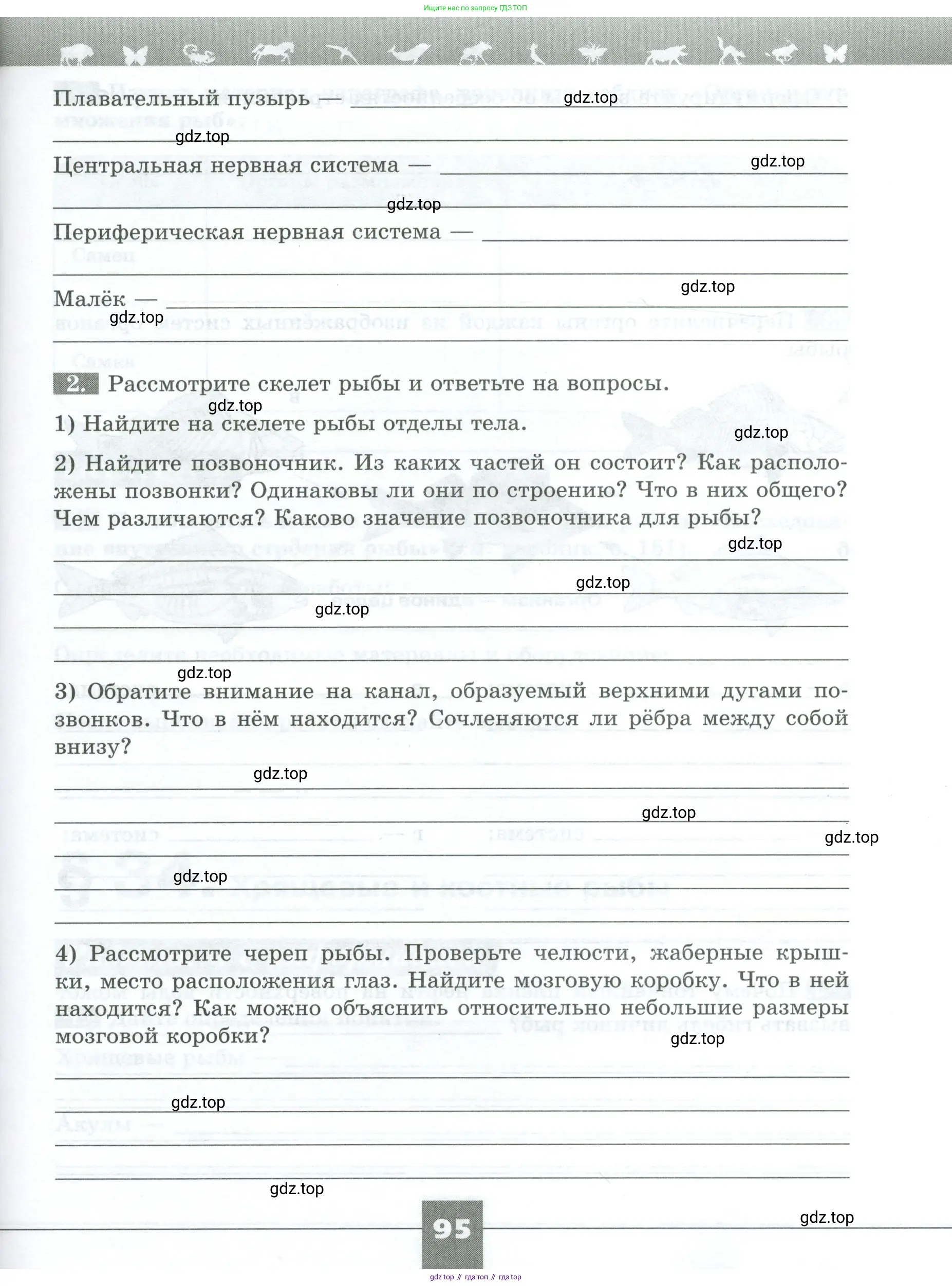 Биология, 8 класс рабочая тетрадь, авторы: Суматохин Сергей Витальевич, Пасечник Владимир Васильевич, Гапонюк Зоя Георгиевна, издательство Просвещение, Москва, 2023, оранжевого цвета, страница 95