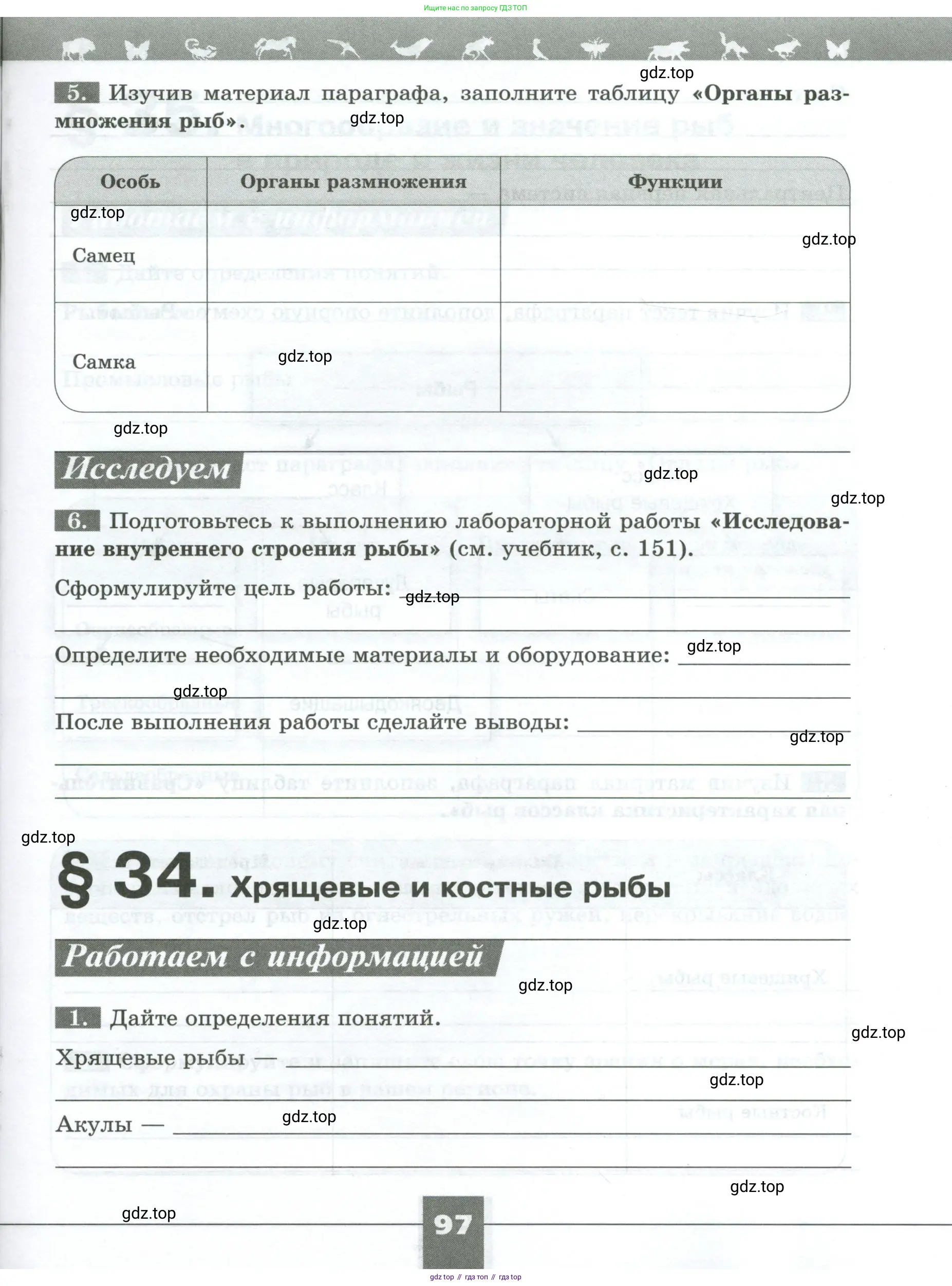 Биология, 8 класс рабочая тетрадь, авторы: Суматохин Сергей Витальевич, Пасечник Владимир Васильевич, Гапонюк Зоя Георгиевна, издательство Просвещение, Москва, 2023, оранжевого цвета, страница 97