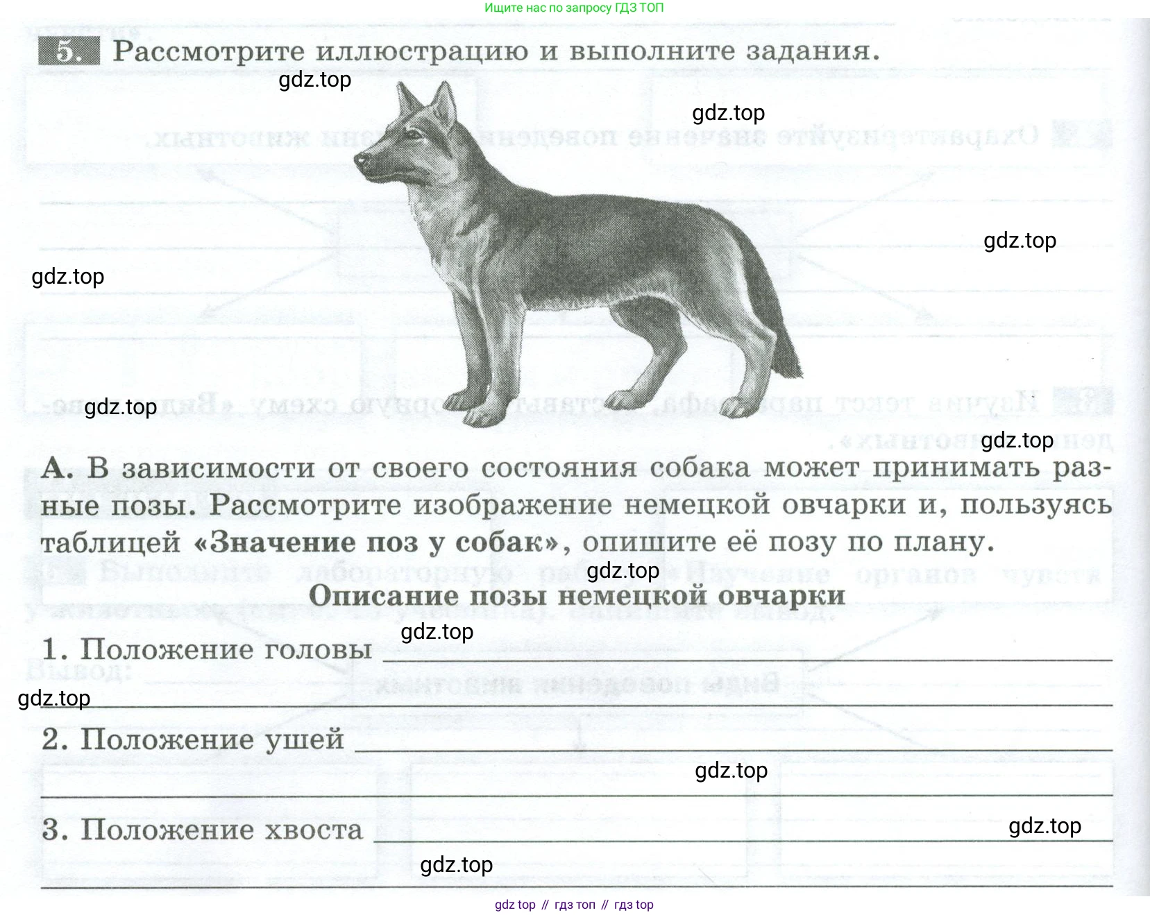 Биология, 8 класс рабочая тетрадь, авторы: Суматохин Сергей Витальевич, Пасечник Владимир Васильевич, Гапонюк Зоя Георгиевна, издательство Просвещение, Москва, 2023, оранжевого цвета, страница 34, номер 5, Условие