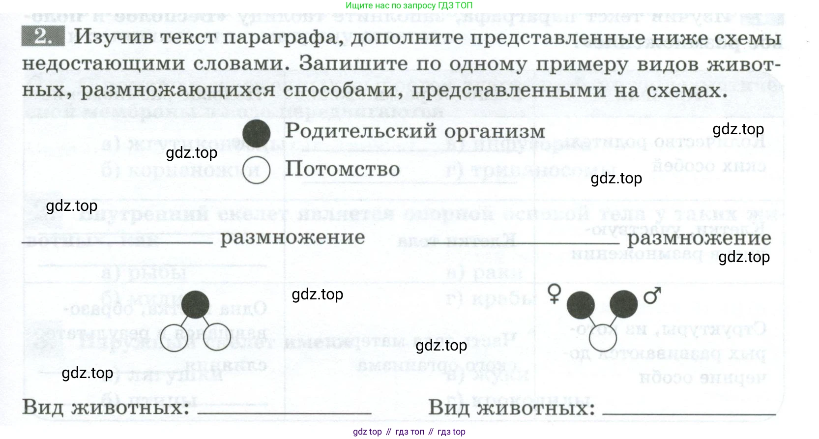 Биология, 8 класс рабочая тетрадь, авторы: Суматохин Сергей Витальевич, Пасечник Владимир Васильевич, Гапонюк Зоя Георгиевна, издательство Просвещение, Москва, 2023, оранжевого цвета, страница 37, номер 2, Условие