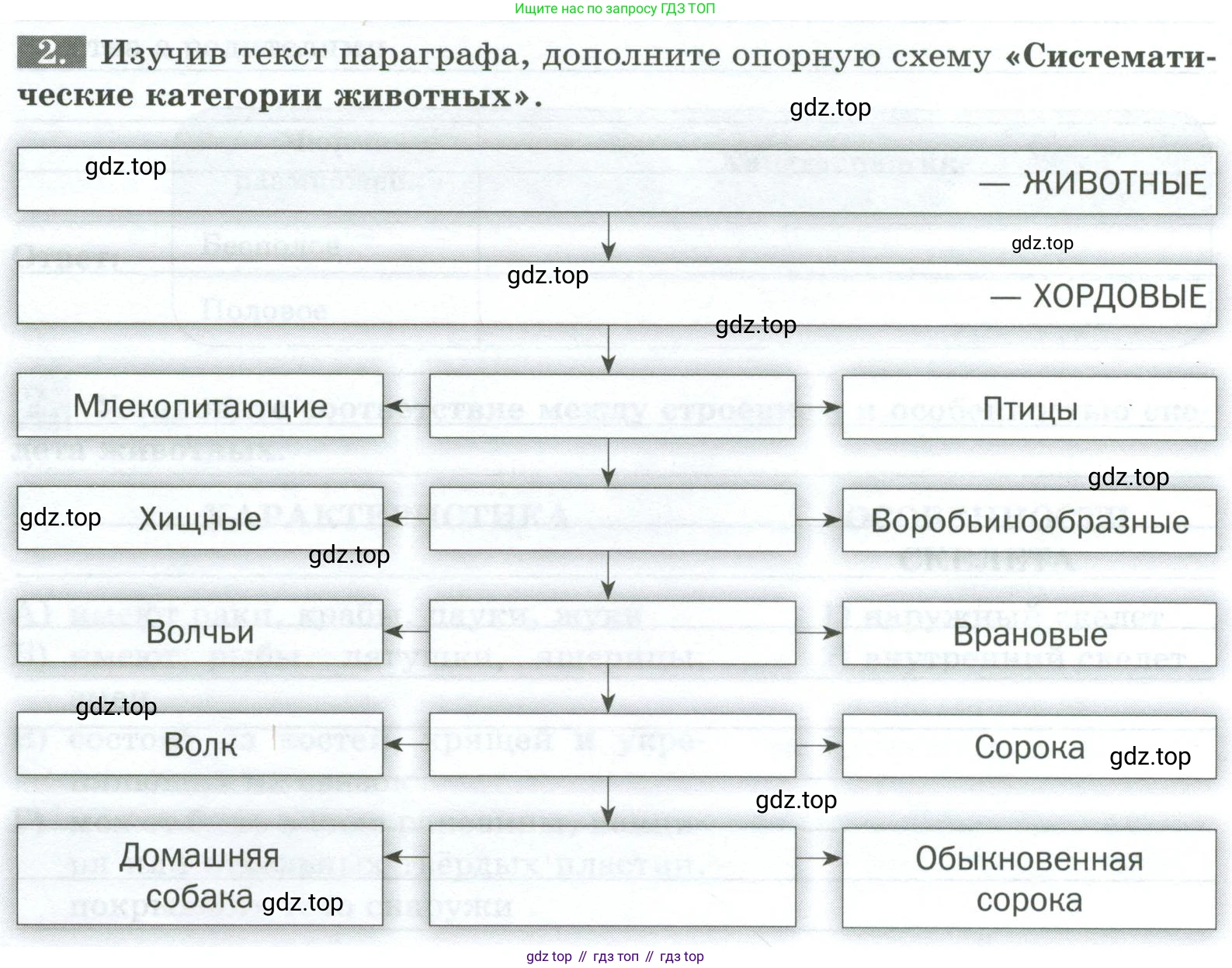 Биология, 8 класс рабочая тетрадь, авторы: Суматохин Сергей Витальевич, Пасечник Владимир Васильевич, Гапонюк Зоя Георгиевна, издательство Просвещение, Москва, 2023, оранжевого цвета, страница 44, номер 2, Условие