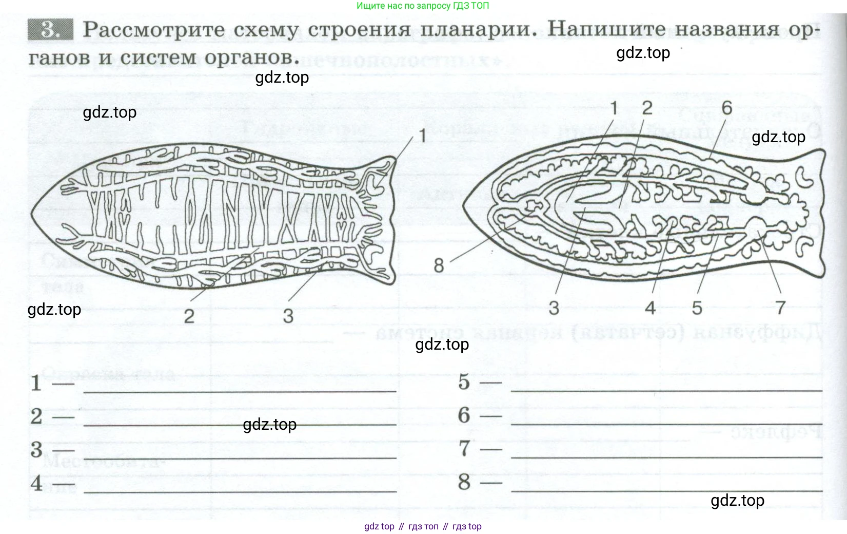 Биология, 8 класс рабочая тетрадь, авторы: Суматохин Сергей Витальевич, Пасечник Владимир Васильевич, Гапонюк Зоя Георгиевна, издательство Просвещение, Москва, 2023, оранжевого цвета, страница 64, номер 3, Условие
