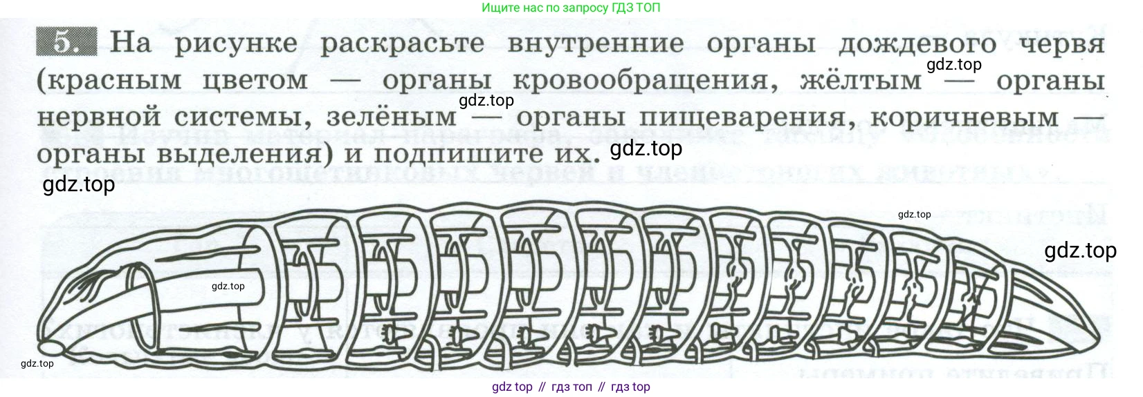 Биология, 8 класс рабочая тетрадь, авторы: Суматохин Сергей Витальевич, Пасечник Владимир Васильевич, Гапонюк Зоя Георгиевна, издательство Просвещение, Москва, 2023, оранжевого цвета, страница 69, номер 5, Условие