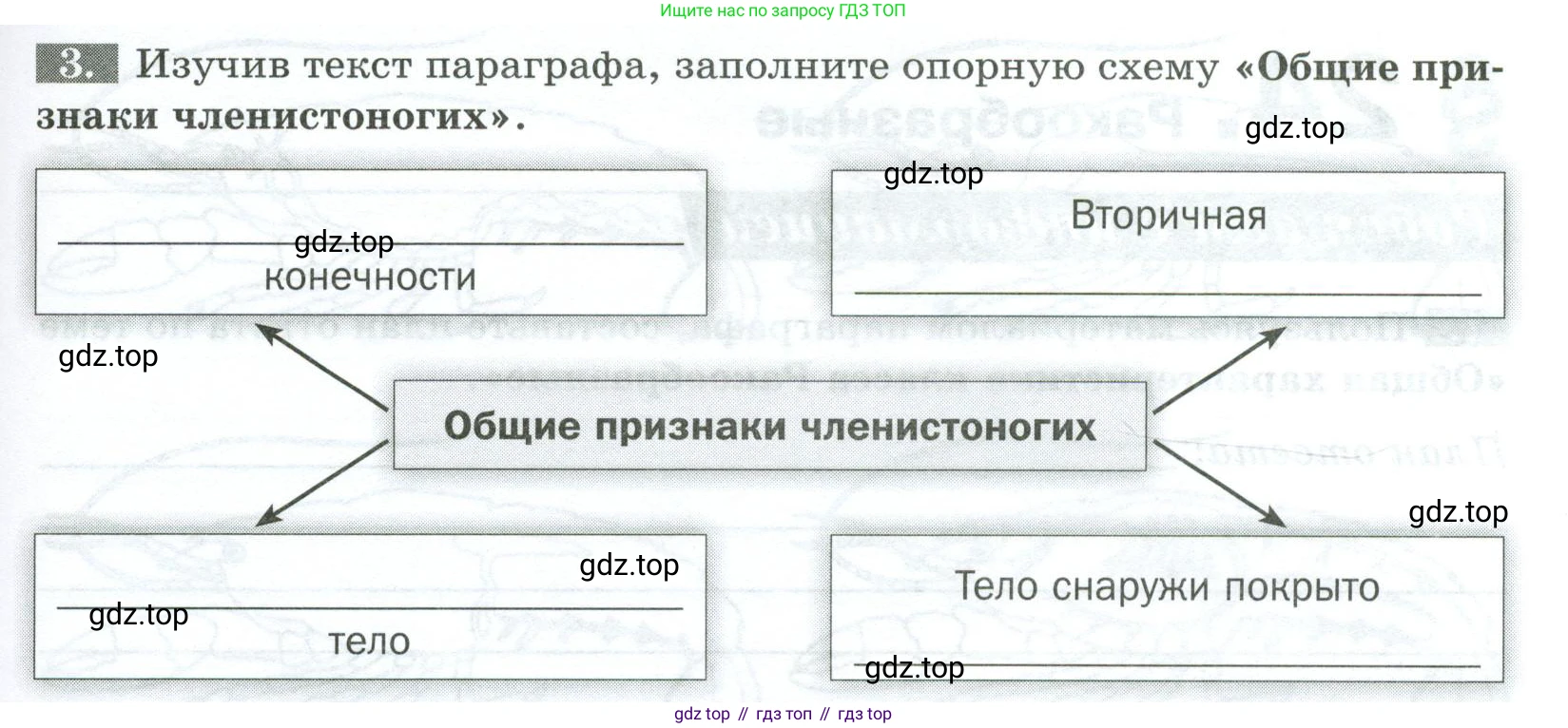 Биология, 8 класс рабочая тетрадь, авторы: Суматохин Сергей Витальевич, Пасечник Владимир Васильевич, Гапонюк Зоя Георгиевна, издательство Просвещение, Москва, 2023, оранжевого цвета, страница 71, номер 3, Условие