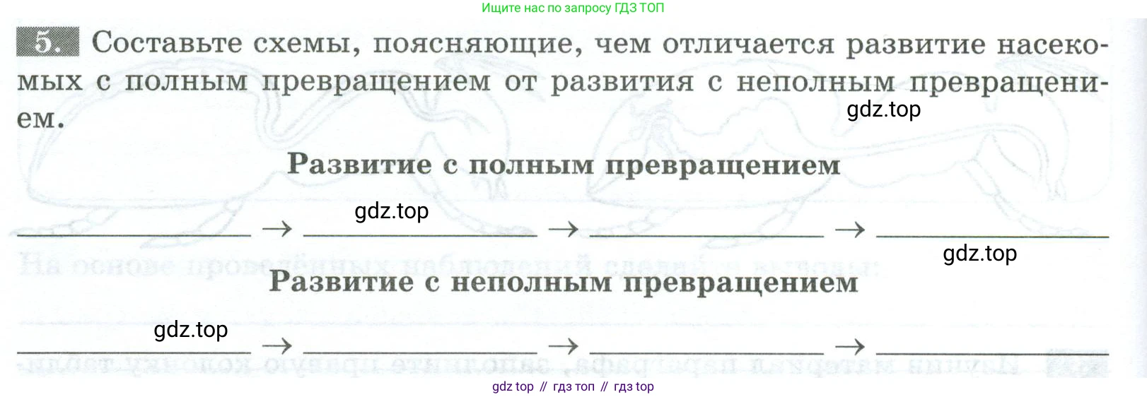 Биология, 8 класс рабочая тетрадь, авторы: Суматохин Сергей Витальевич, Пасечник Владимир Васильевич, Гапонюк Зоя Георгиевна, издательство Просвещение, Москва, 2023, оранжевого цвета, страница 78, номер 5, Условие
