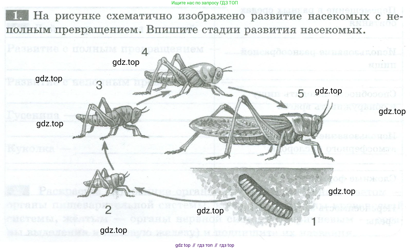 Биология, 8 класс рабочая тетрадь, авторы: Суматохин Сергей Витальевич, Пасечник Владимир Васильевич, Гапонюк Зоя Георгиевна, издательство Просвещение, Москва, 2023, оранжевого цвета, страница 78, номер 1, Условие