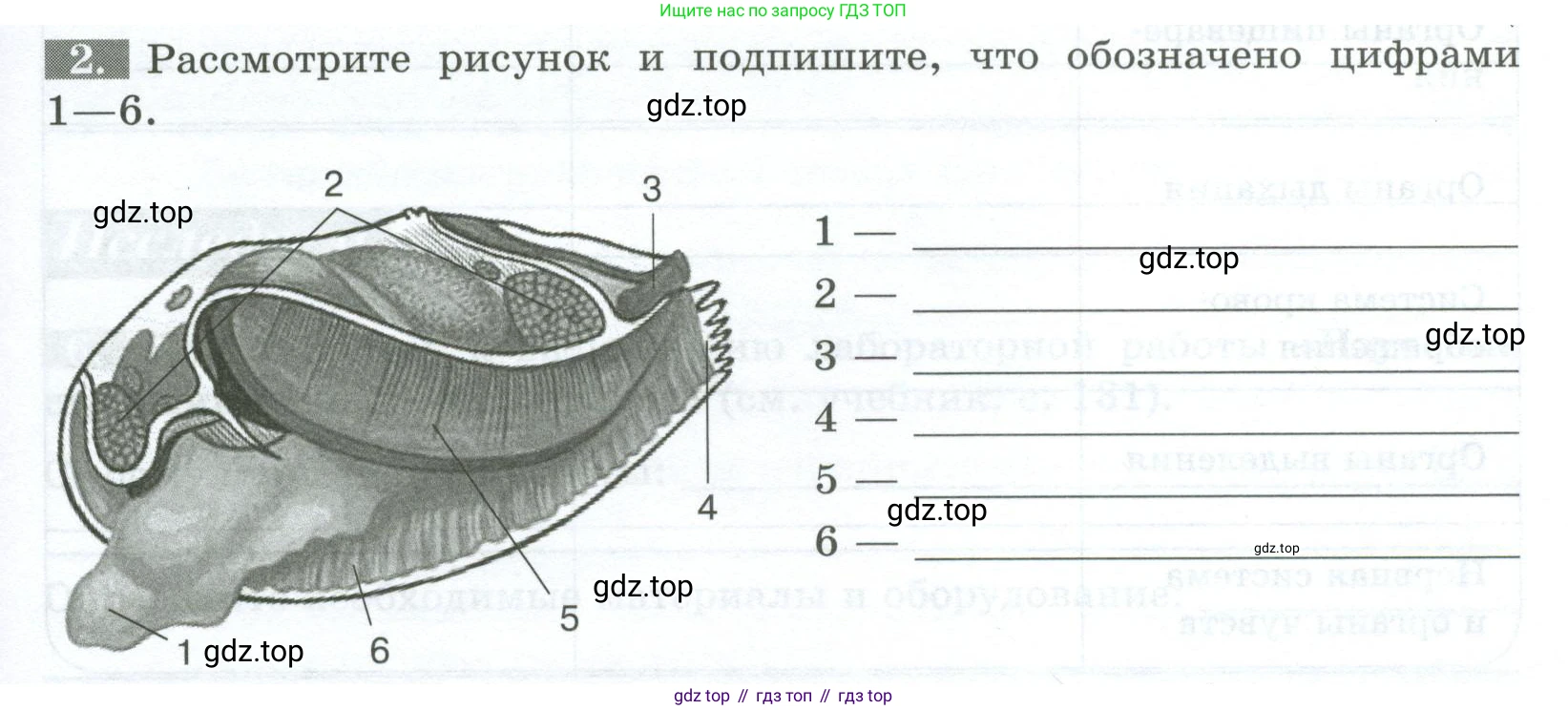 Биология, 8 класс рабочая тетрадь, авторы: Суматохин Сергей Витальевич, Пасечник Владимир Васильевич, Гапонюк Зоя Георгиевна, издательство Просвещение, Москва, 2023, оранжевого цвета, страница 81, номер 2, Условие