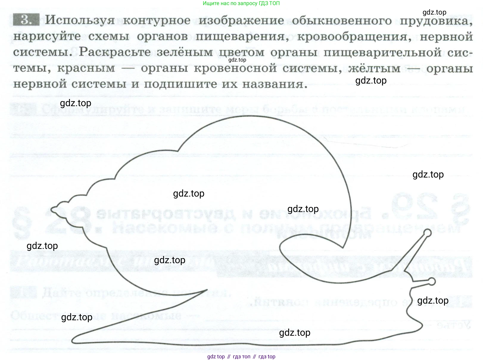 Биология, 8 класс рабочая тетрадь, авторы: Суматохин Сергей Витальевич, Пасечник Владимир Васильевич, Гапонюк Зоя Георгиевна, издательство Просвещение, Москва, 2023, оранжевого цвета, страница 82, номер 3, Условие