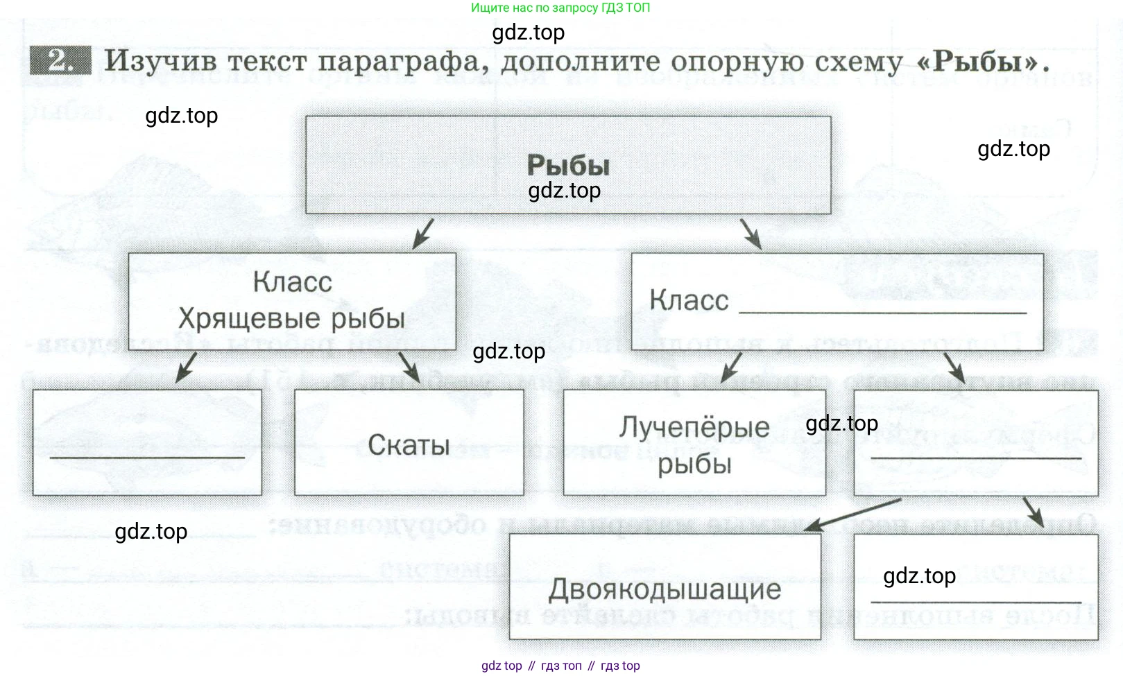 Биология, 8 класс рабочая тетрадь, авторы: Суматохин Сергей Витальевич, Пасечник Владимир Васильевич, Гапонюк Зоя Георгиевна, издательство Просвещение, Москва, 2023, оранжевого цвета, страница 98, номер 2, Условие