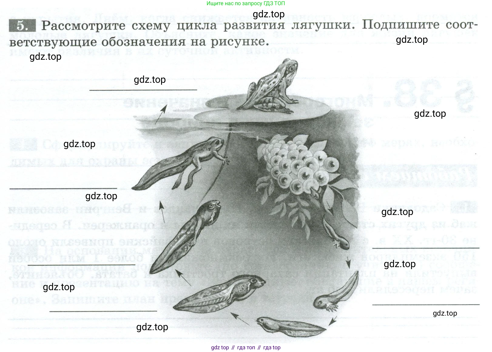Биология, 8 класс рабочая тетрадь, авторы: Суматохин Сергей Витальевич, Пасечник Владимир Васильевич, Гапонюк Зоя Георгиевна, издательство Просвещение, Москва, 2023, оранжевого цвета, страница 103, номер 5, Условие