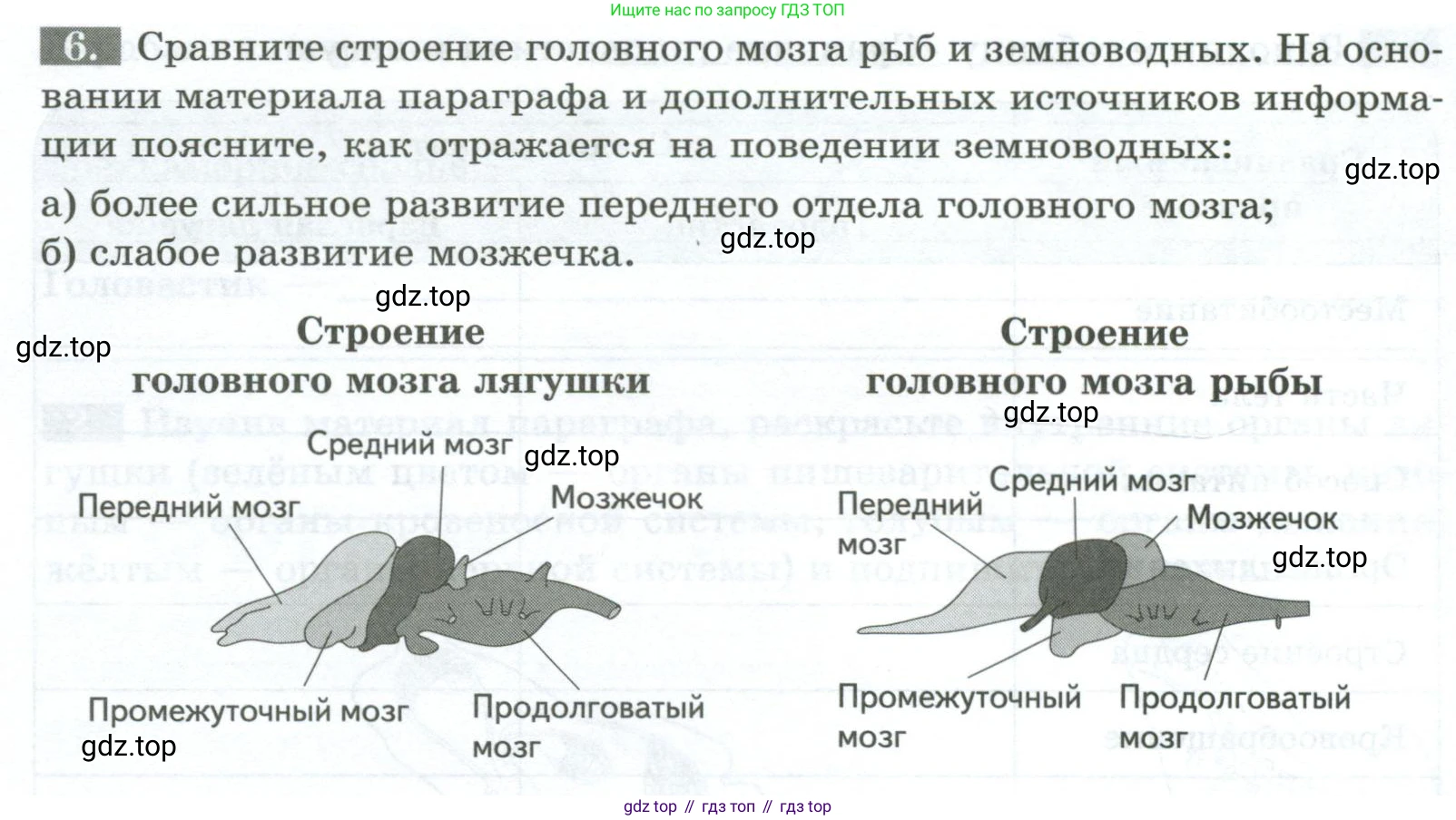 Биология, 8 класс рабочая тетрадь, авторы: Суматохин Сергей Витальевич, Пасечник Владимир Васильевич, Гапонюк Зоя Георгиевна, издательство Просвещение, Москва, 2023, оранжевого цвета, страница 104, номер 6, Условие