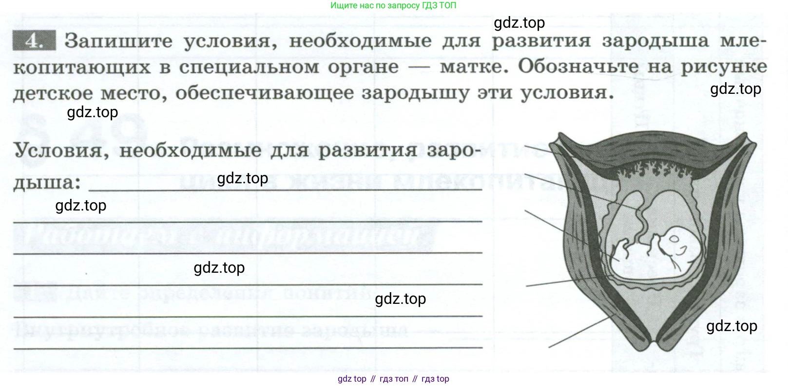 Биология, 8 класс рабочая тетрадь, авторы: Суматохин Сергей Витальевич, Пасечник Владимир Васильевич, Гапонюк Зоя Георгиевна, издательство Просвещение, Москва, 2023, оранжевого цвета, страница 128, номер 4, Условие