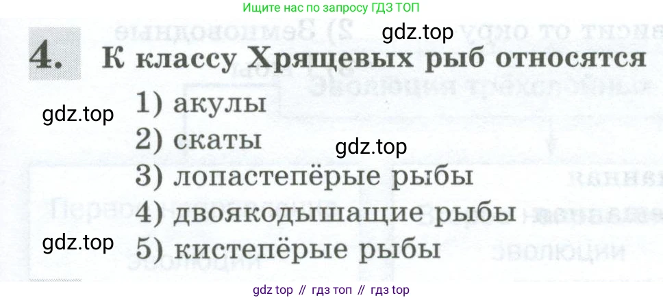 Биология, 8 класс рабочая тетрадь, авторы: Суматохин Сергей Витальевич, Пасечник Владимир Васильевич, Гапонюк Зоя Георгиевна, издательство Просвещение, Москва, 2023, оранжевого цвета, страница 133, номер 4, Условие