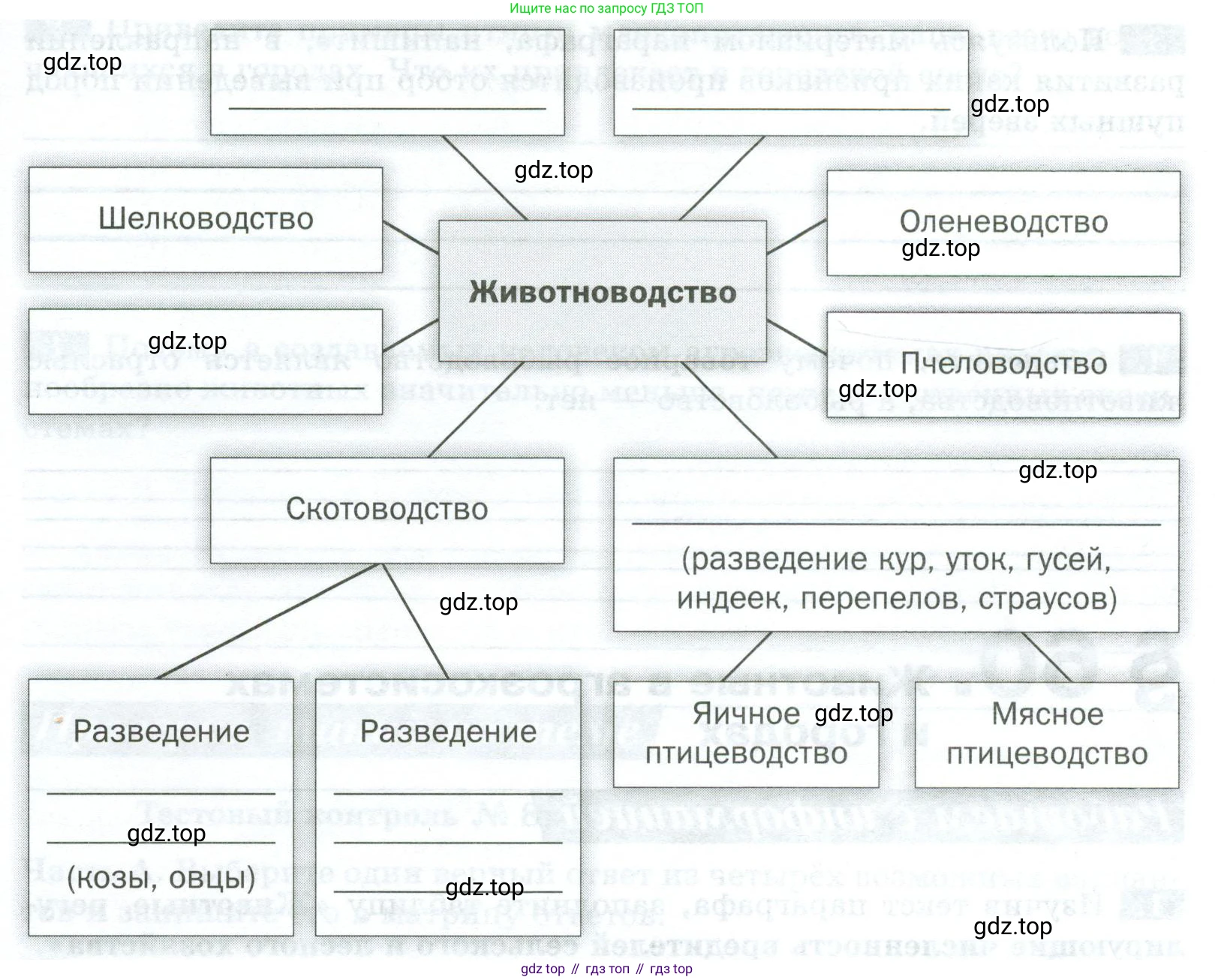Биология, 8 класс рабочая тетрадь, авторы: Суматохин Сергей Витальевич, Пасечник Владимир Васильевич, Гапонюк Зоя Георгиевна, издательство Просвещение, Москва, 2023, оранжевого цвета, страница 150, номер 1, Условие (продолжение 2)