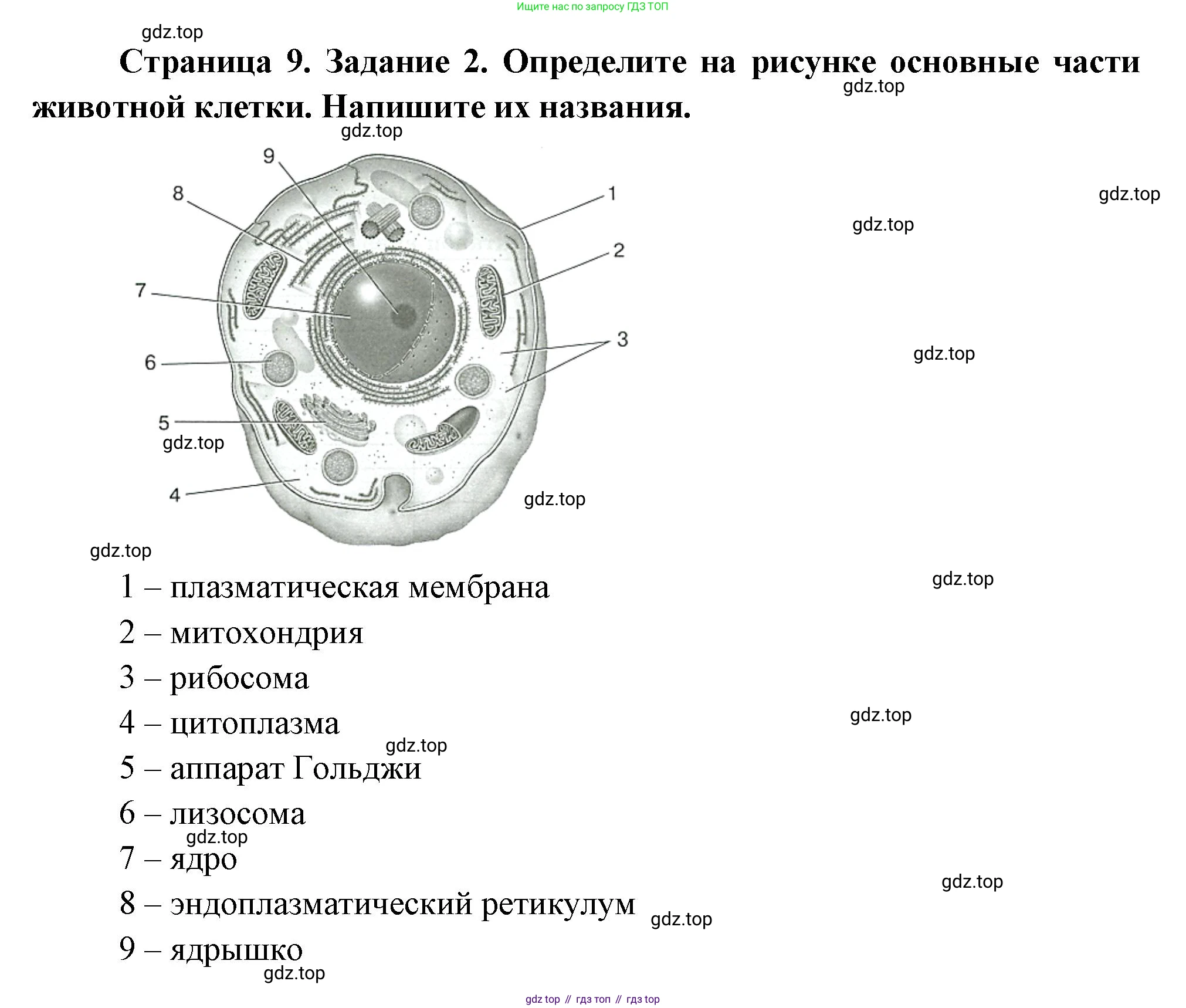 Биология, 8 класс рабочая тетрадь, авторы: Суматохин Сергей Витальевич, Пасечник Владимир Васильевич, Гапонюк Зоя Георгиевна, издательство Просвещение, Москва, 2023, оранжевого цвета, страница 9, номер 2, Решение