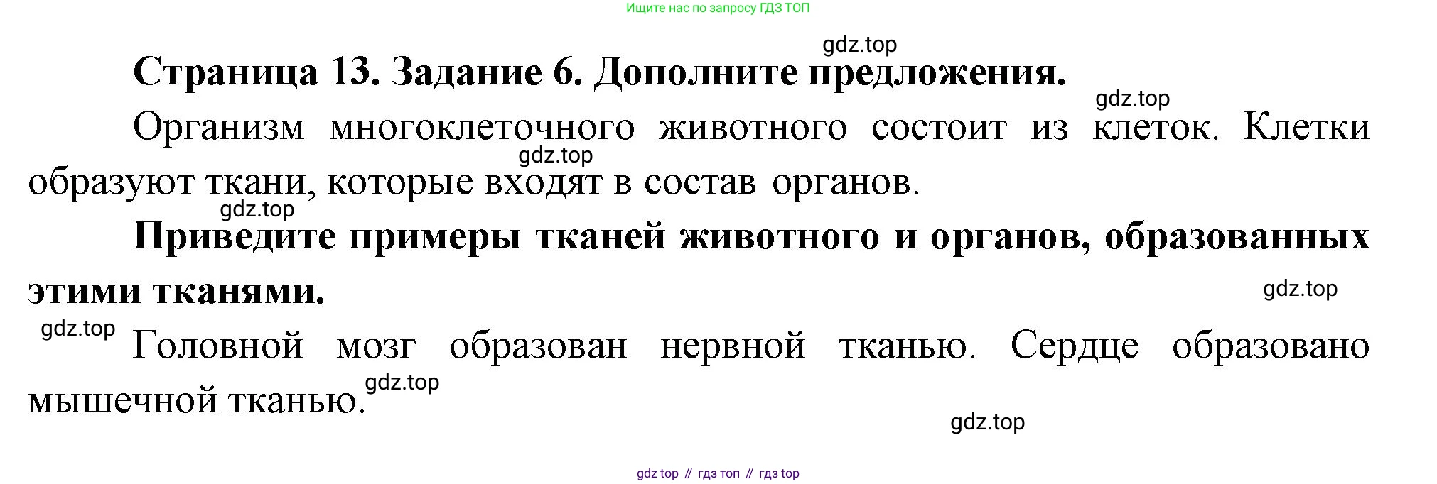 Биология, 8 класс рабочая тетрадь, авторы: Суматохин Сергей Витальевич, Пасечник Владимир Васильевич, Гапонюк Зоя Георгиевна, издательство Просвещение, Москва, 2023, оранжевого цвета, страница 13, номер 6, Решение