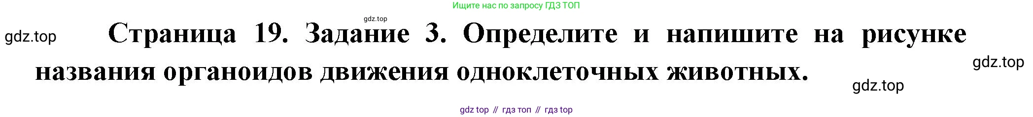 Биология, 8 класс рабочая тетрадь, авторы: Суматохин Сергей Витальевич, Пасечник Владимир Васильевич, Гапонюк Зоя Георгиевна, издательство Просвещение, Москва, 2023, оранжевого цвета, страница 19, номер 3, Решение