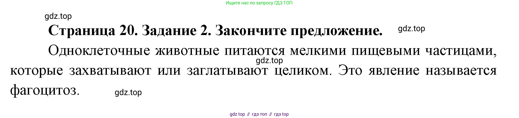 Биология, 8 класс рабочая тетрадь, авторы: Суматохин Сергей Витальевич, Пасечник Владимир Васильевич, Гапонюк Зоя Георгиевна, издательство Просвещение, Москва, 2023, оранжевого цвета, страница 20, номер 2, Решение