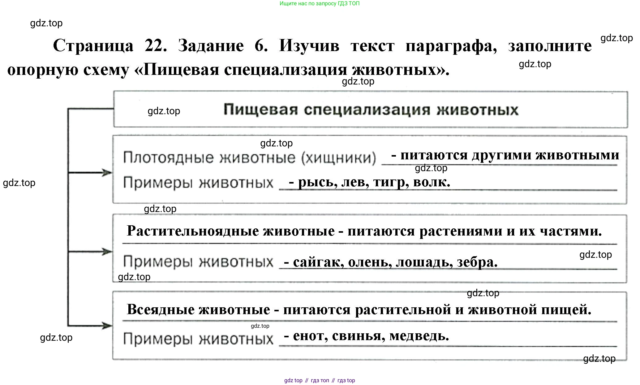 Биология, 8 класс рабочая тетрадь, авторы: Суматохин Сергей Витальевич, Пасечник Владимир Васильевич, Гапонюк Зоя Георгиевна, издательство Просвещение, Москва, 2023, оранжевого цвета, страница 22, номер 6, Решение