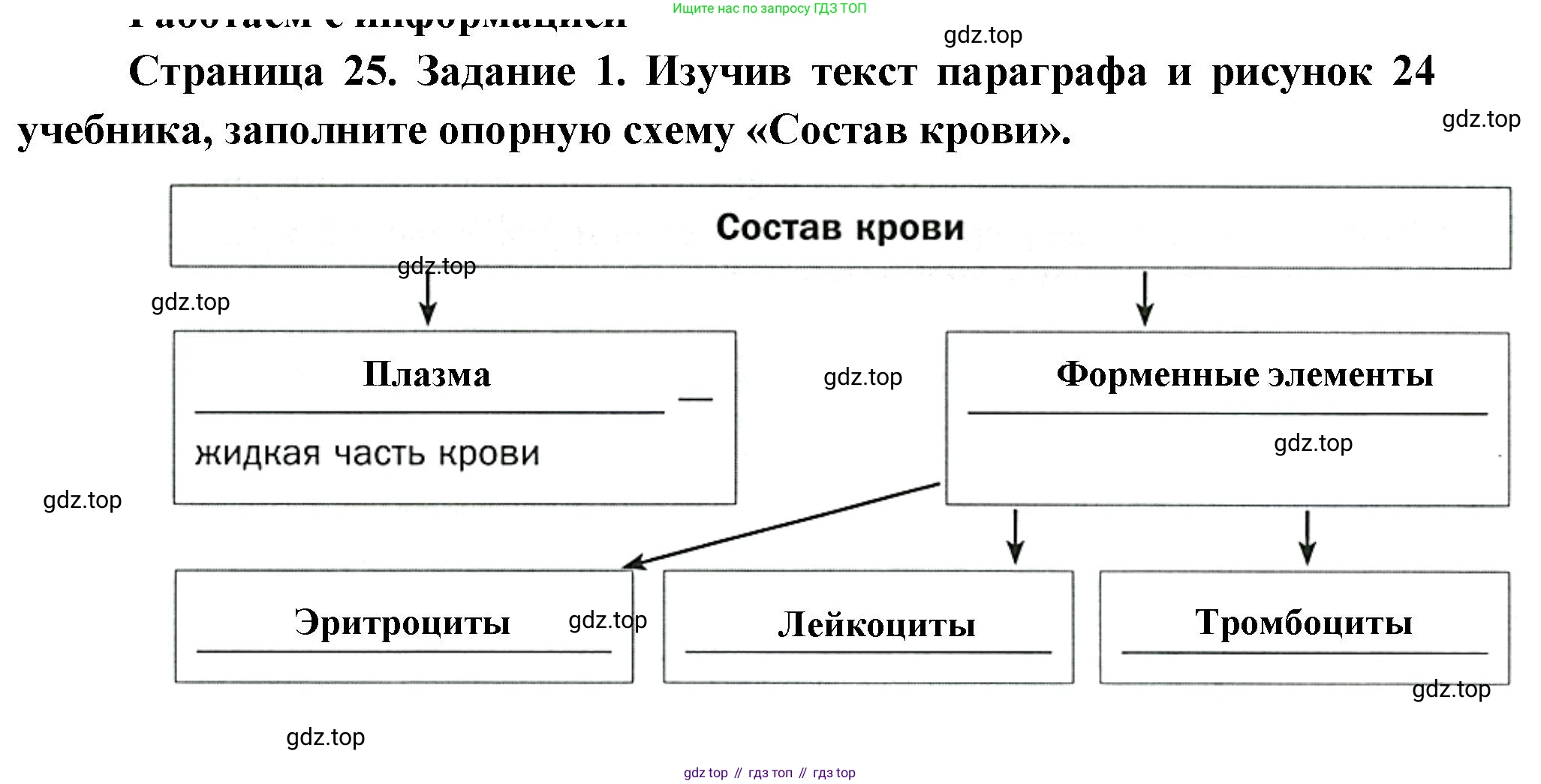 Биология, 8 класс рабочая тетрадь, авторы: Суматохин Сергей Витальевич, Пасечник Владимир Васильевич, Гапонюк Зоя Георгиевна, издательство Просвещение, Москва, 2023, оранжевого цвета, страница 25, номер 1, Решение
