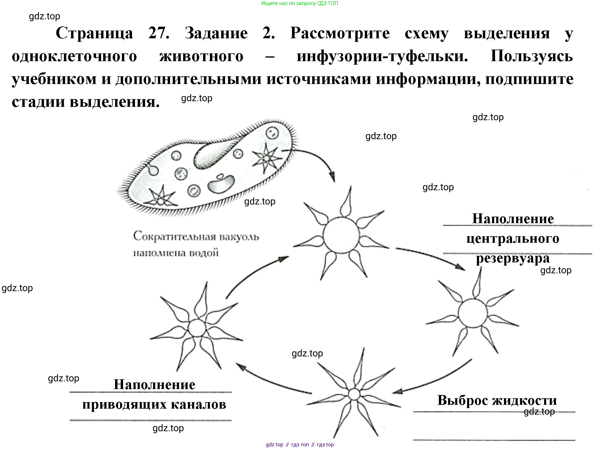 Биология, 8 класс рабочая тетрадь, авторы: Суматохин Сергей Витальевич, Пасечник Владимир Васильевич, Гапонюк Зоя Георгиевна, издательство Просвещение, Москва, 2023, оранжевого цвета, страница 27, номер 2, Решение