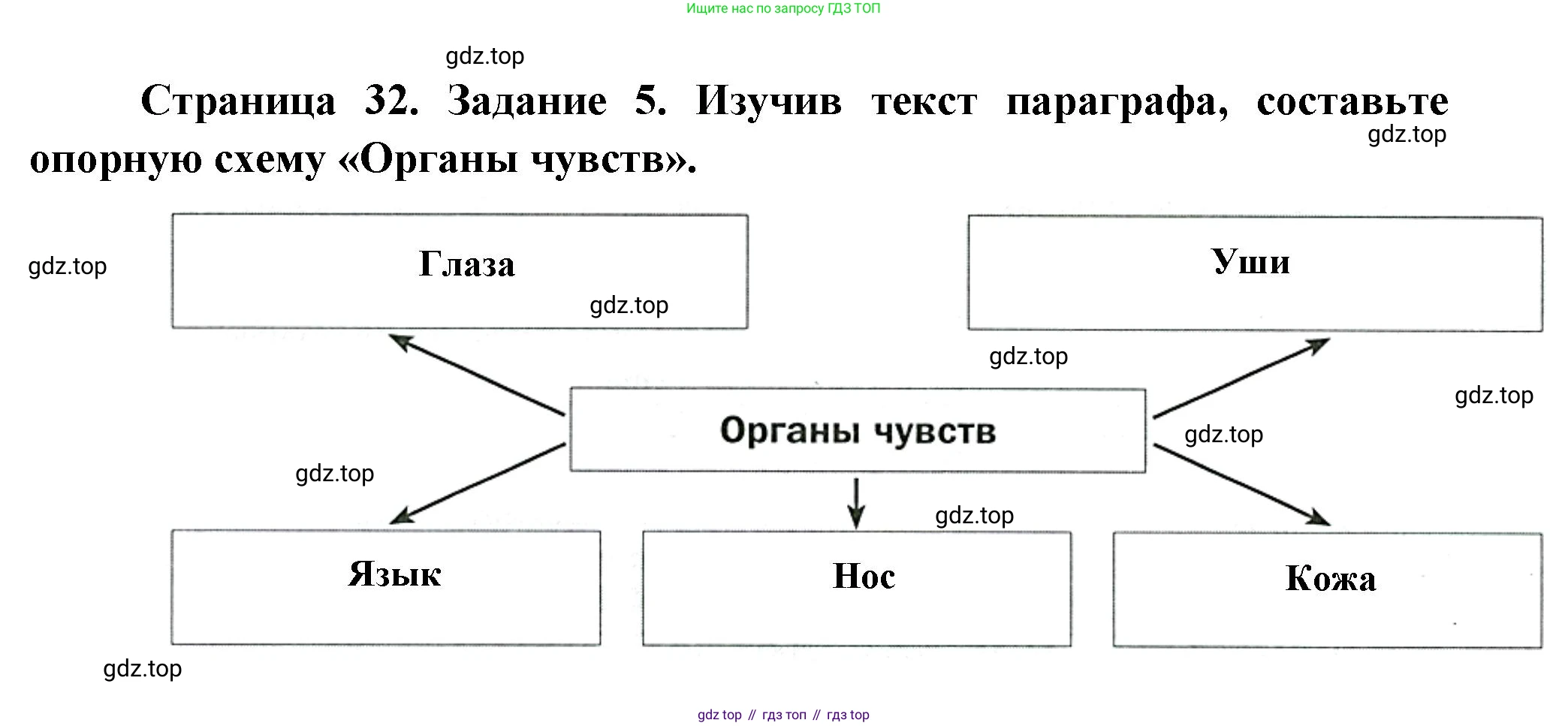 Биология, 8 класс рабочая тетрадь, авторы: Суматохин Сергей Витальевич, Пасечник Владимир Васильевич, Гапонюк Зоя Георгиевна, издательство Просвещение, Москва, 2023, оранжевого цвета, страница 32, номер 5, Решение