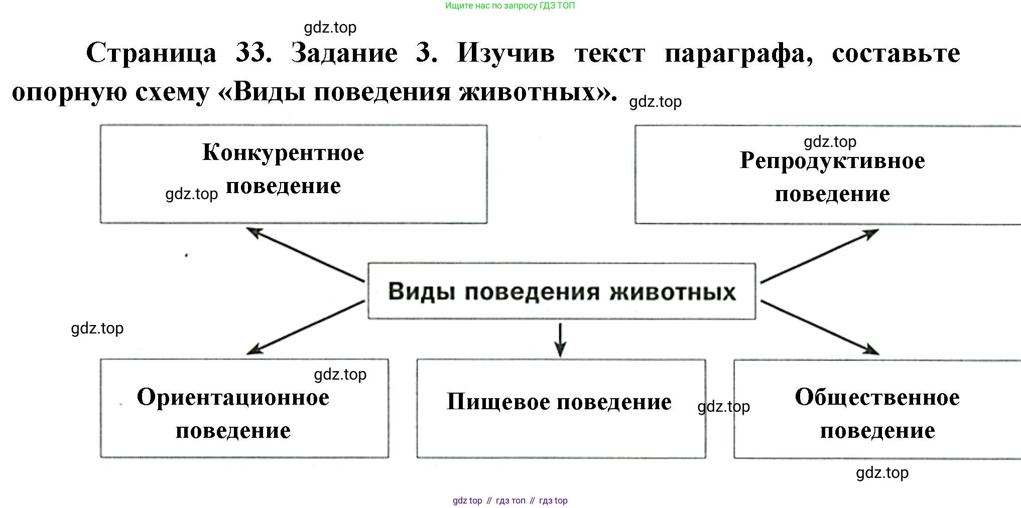 Биология, 8 класс рабочая тетрадь, авторы: Суматохин Сергей Витальевич, Пасечник Владимир Васильевич, Гапонюк Зоя Георгиевна, издательство Просвещение, Москва, 2023, оранжевого цвета, страница 33, номер 3, Решение