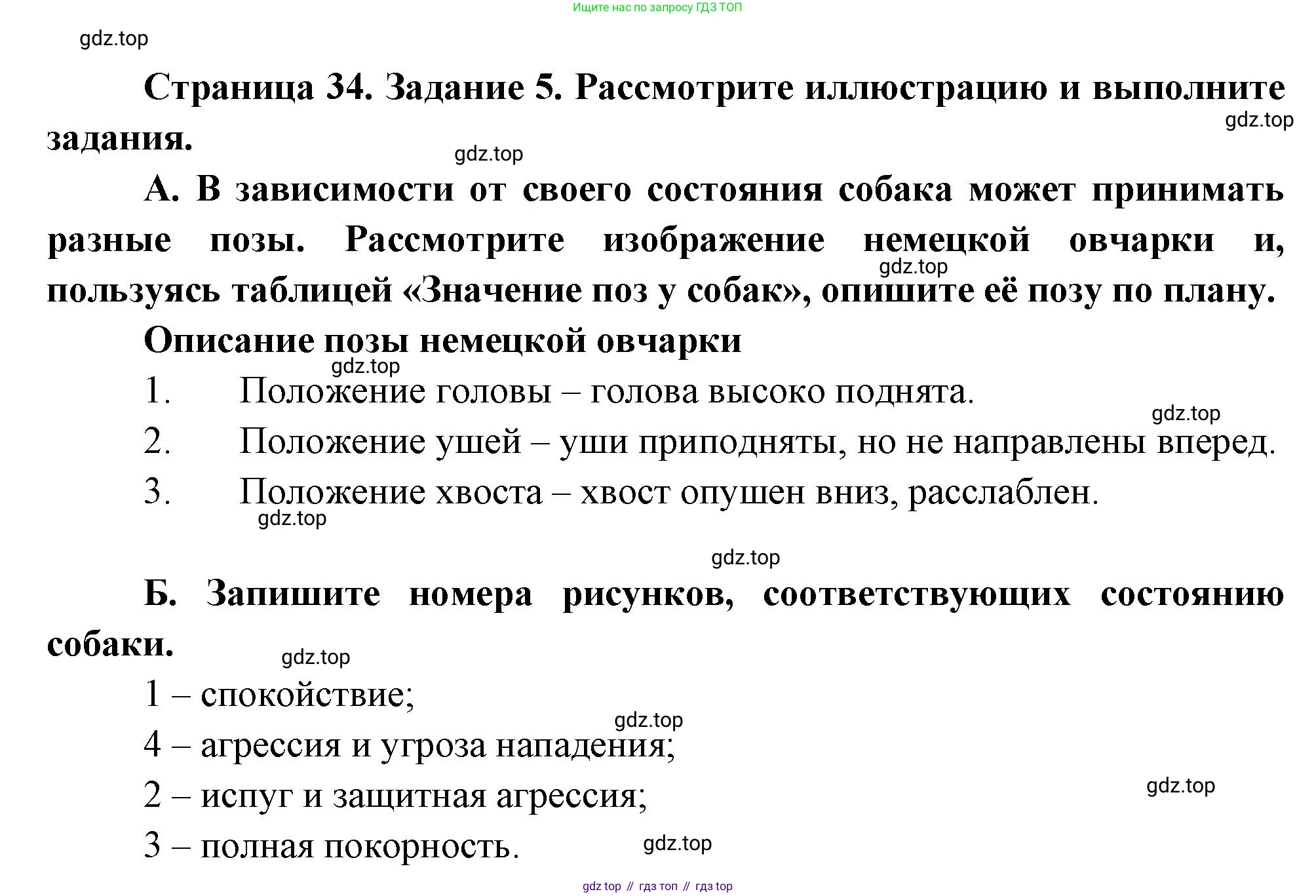 Биология, 8 класс рабочая тетрадь, авторы: Суматохин Сергей Витальевич, Пасечник Владимир Васильевич, Гапонюк Зоя Георгиевна, издательство Просвещение, Москва, 2023, оранжевого цвета, страница 34, номер 5, Решение