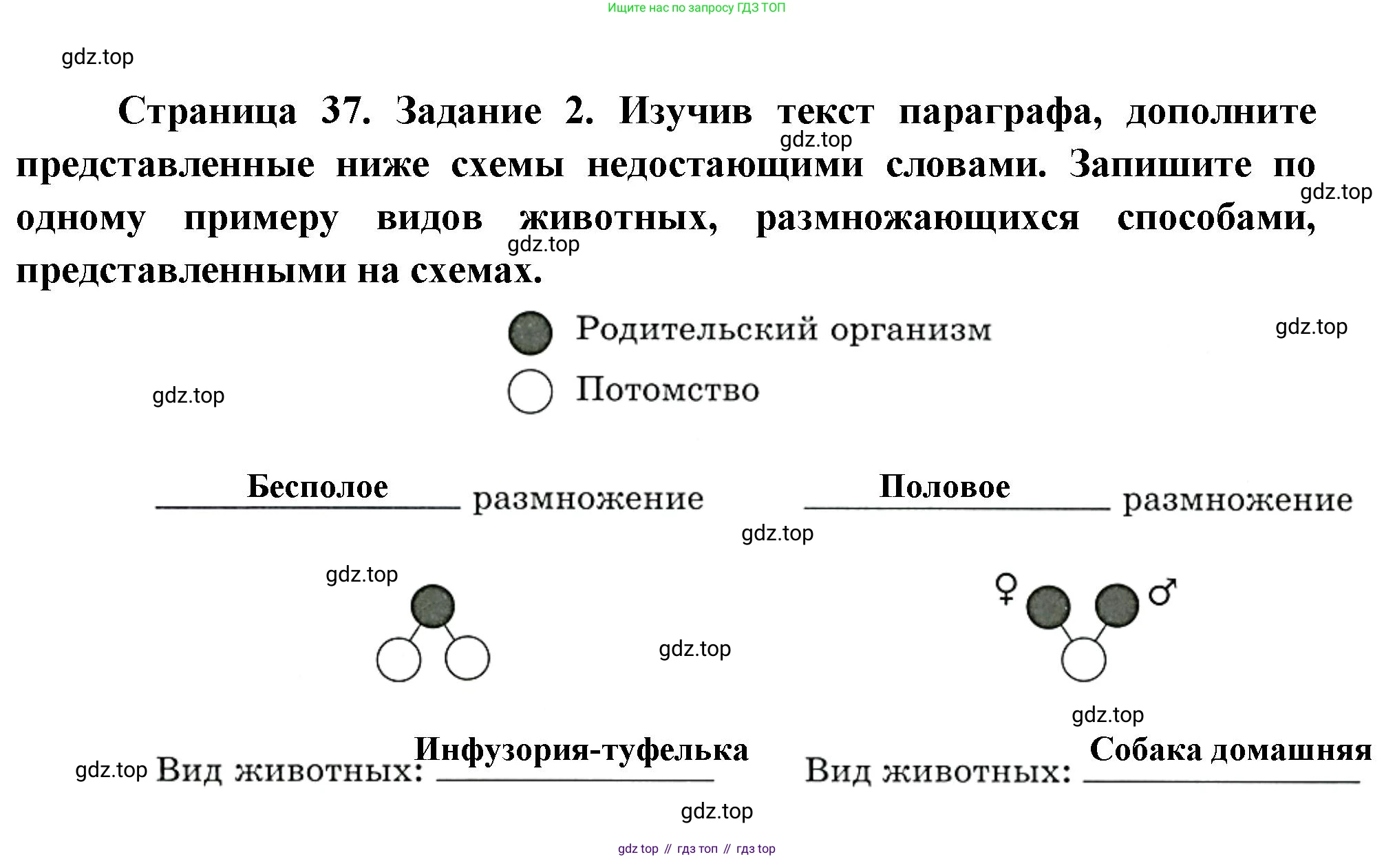Биология, 8 класс рабочая тетрадь, авторы: Суматохин Сергей Витальевич, Пасечник Владимир Васильевич, Гапонюк Зоя Георгиевна, издательство Просвещение, Москва, 2023, оранжевого цвета, страница 37, номер 2, Решение