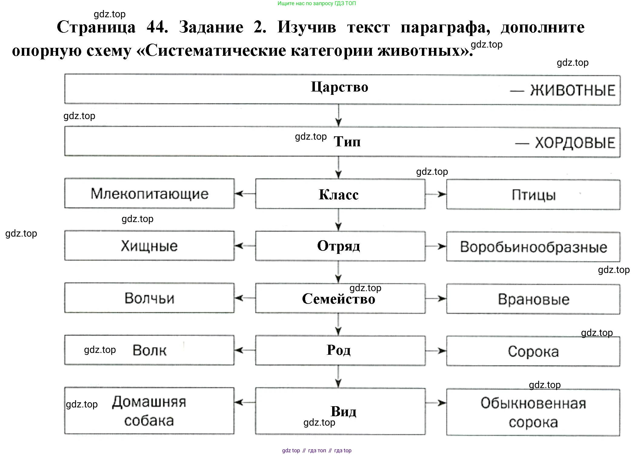 Биология, 8 класс рабочая тетрадь, авторы: Суматохин Сергей Витальевич, Пасечник Владимир Васильевич, Гапонюк Зоя Георгиевна, издательство Просвещение, Москва, 2023, оранжевого цвета, страница 44, номер 2, Решение