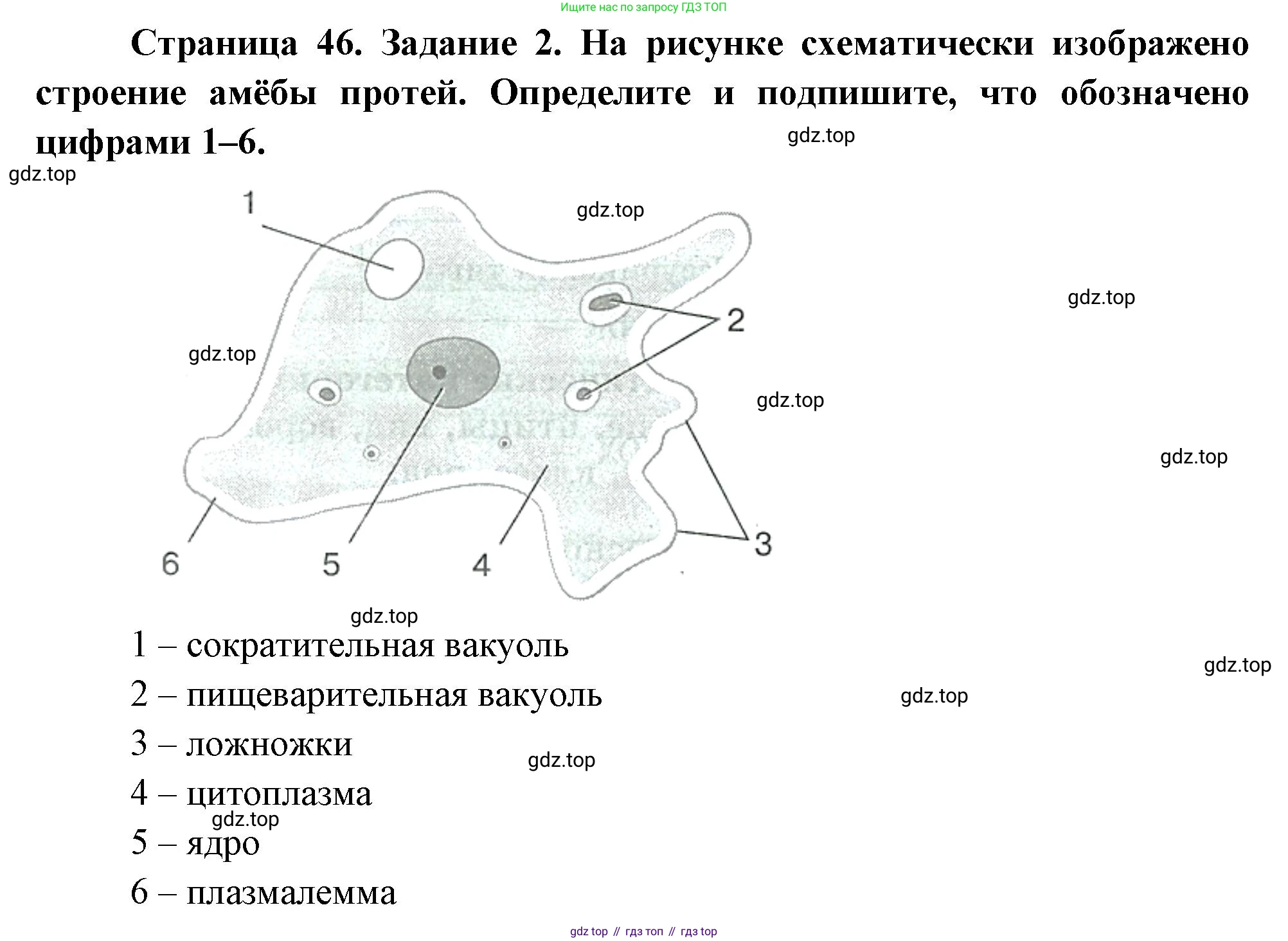 Биология, 8 класс рабочая тетрадь, авторы: Суматохин Сергей Витальевич, Пасечник Владимир Васильевич, Гапонюк Зоя Георгиевна, издательство Просвещение, Москва, 2023, оранжевого цвета, страница 46, номер 2, Решение