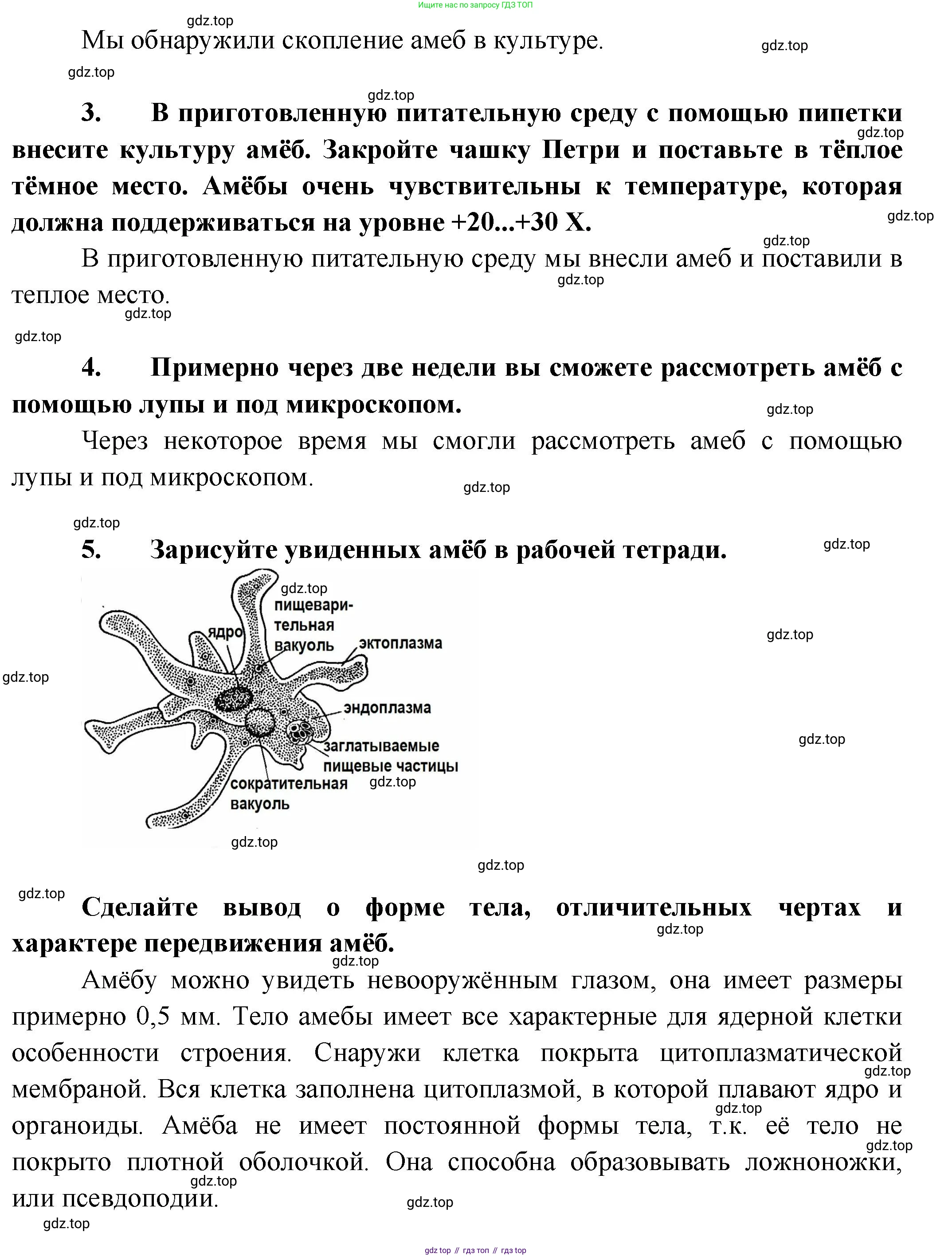 Биология, 8 класс рабочая тетрадь, авторы: Суматохин Сергей Витальевич, Пасечник Владимир Васильевич, Гапонюк Зоя Георгиевна, издательство Просвещение, Москва, 2023, оранжевого цвета, страница 47, номер 5, Решение (продолжение 2)