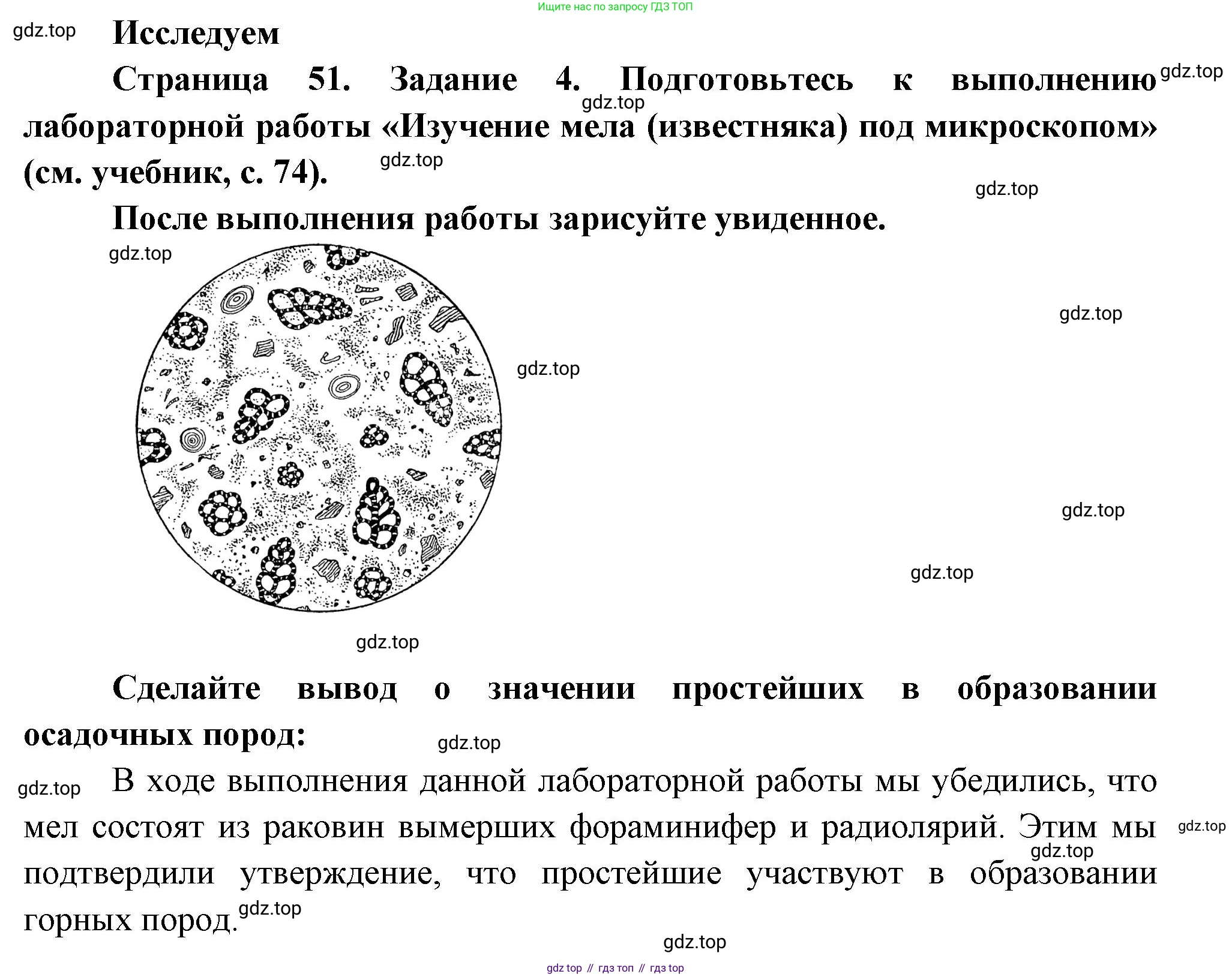 Биология, 8 класс рабочая тетрадь, авторы: Суматохин Сергей Витальевич, Пасечник Владимир Васильевич, Гапонюк Зоя Георгиевна, издательство Просвещение, Москва, 2023, оранжевого цвета, страница 51, номер 4, Решение