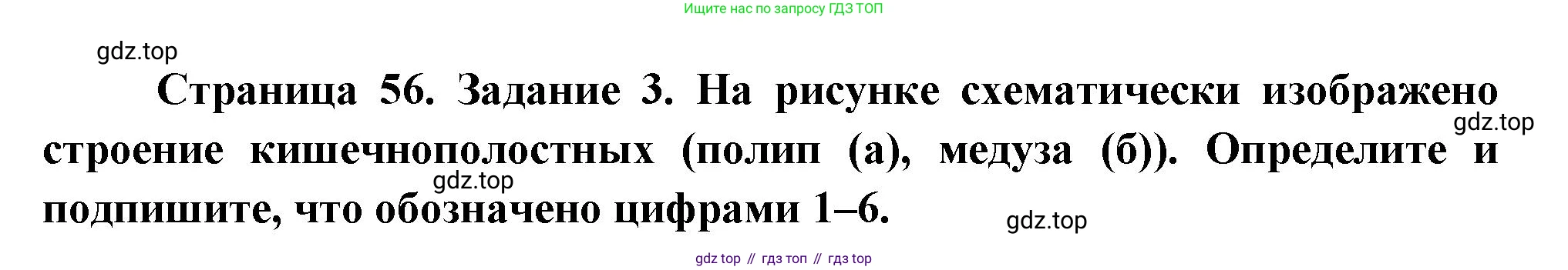 Биология, 8 класс рабочая тетрадь, авторы: Суматохин Сергей Витальевич, Пасечник Владимир Васильевич, Гапонюк Зоя Георгиевна, издательство Просвещение, Москва, 2023, оранжевого цвета, страница 56, номер 3, Решение