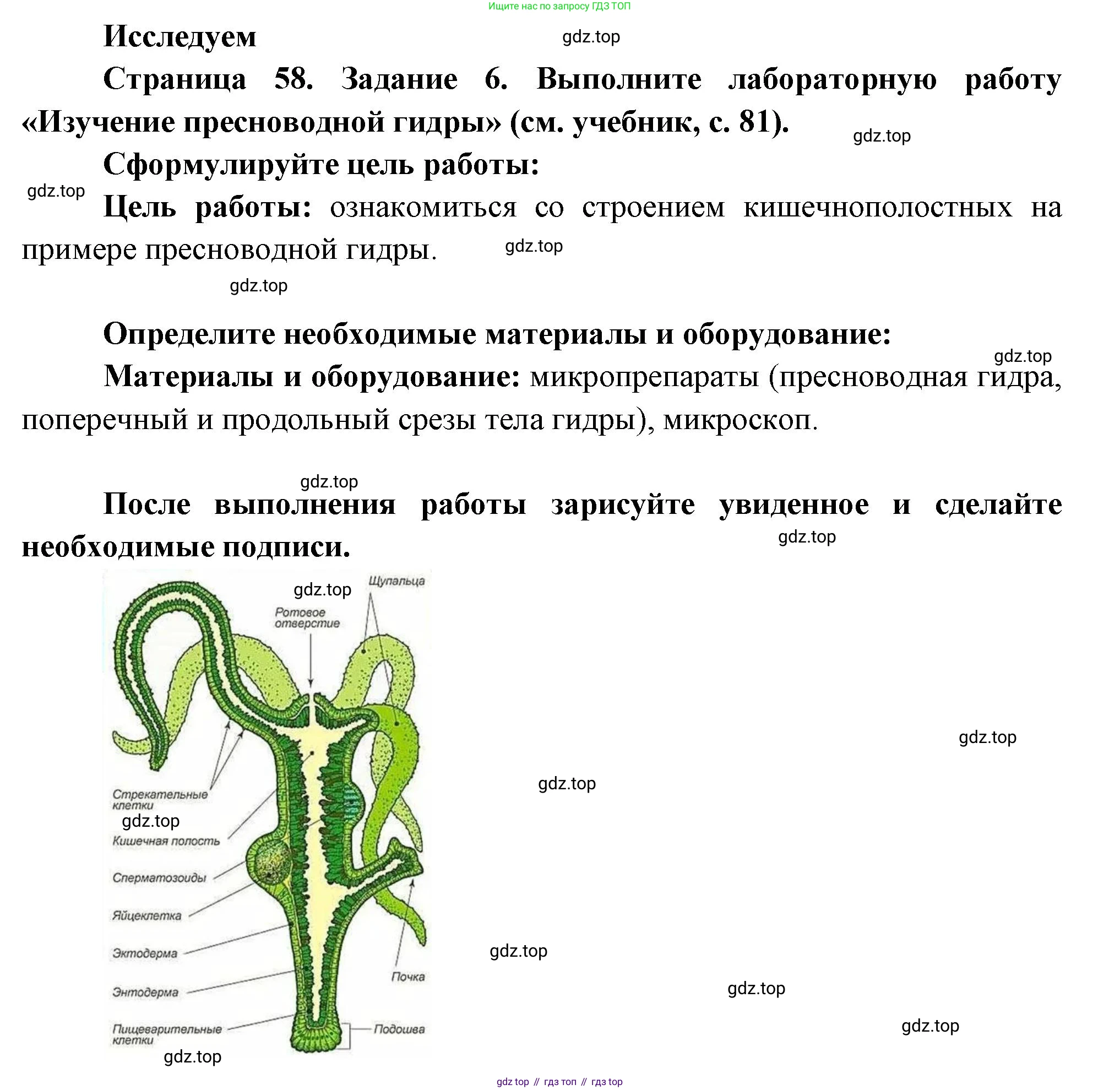 Биология, 8 класс рабочая тетрадь, авторы: Суматохин Сергей Витальевич, Пасечник Владимир Васильевич, Гапонюк Зоя Георгиевна, издательство Просвещение, Москва, 2023, оранжевого цвета, страница 58, номер 6, Решение